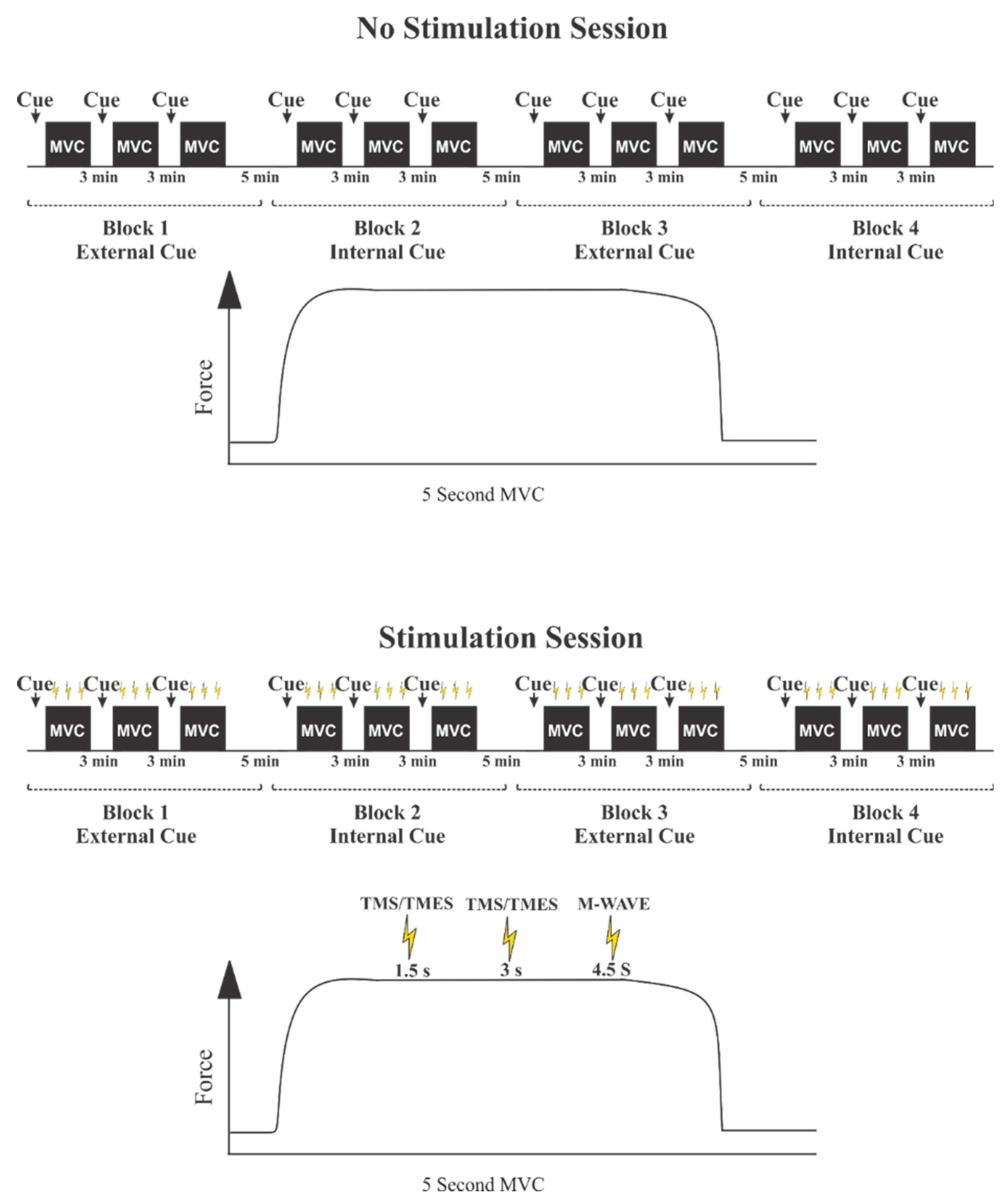 Brainsci 10 00033 g002 Brainsci 10 00033 g002