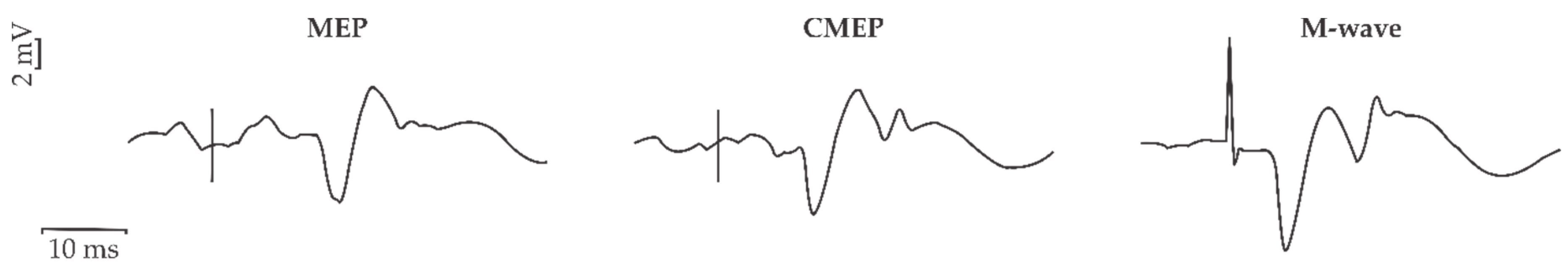Brainsci 10 00033 g003 Brainsci 10 00033 g003