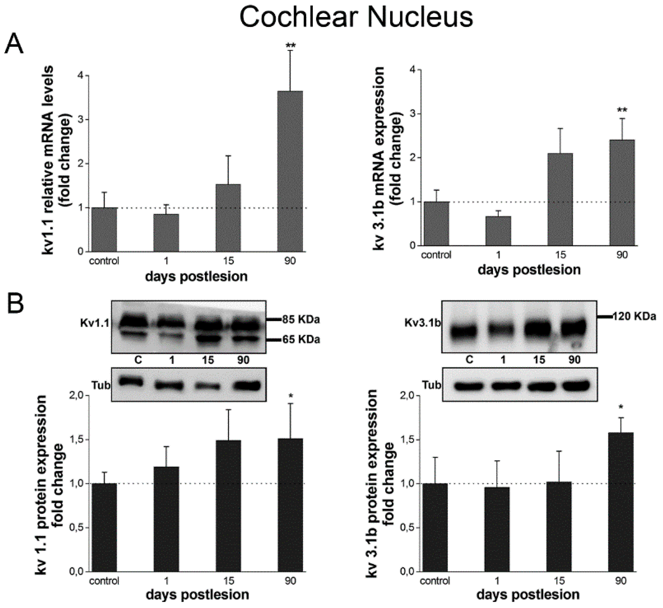 Brainsci 10 00035 g003