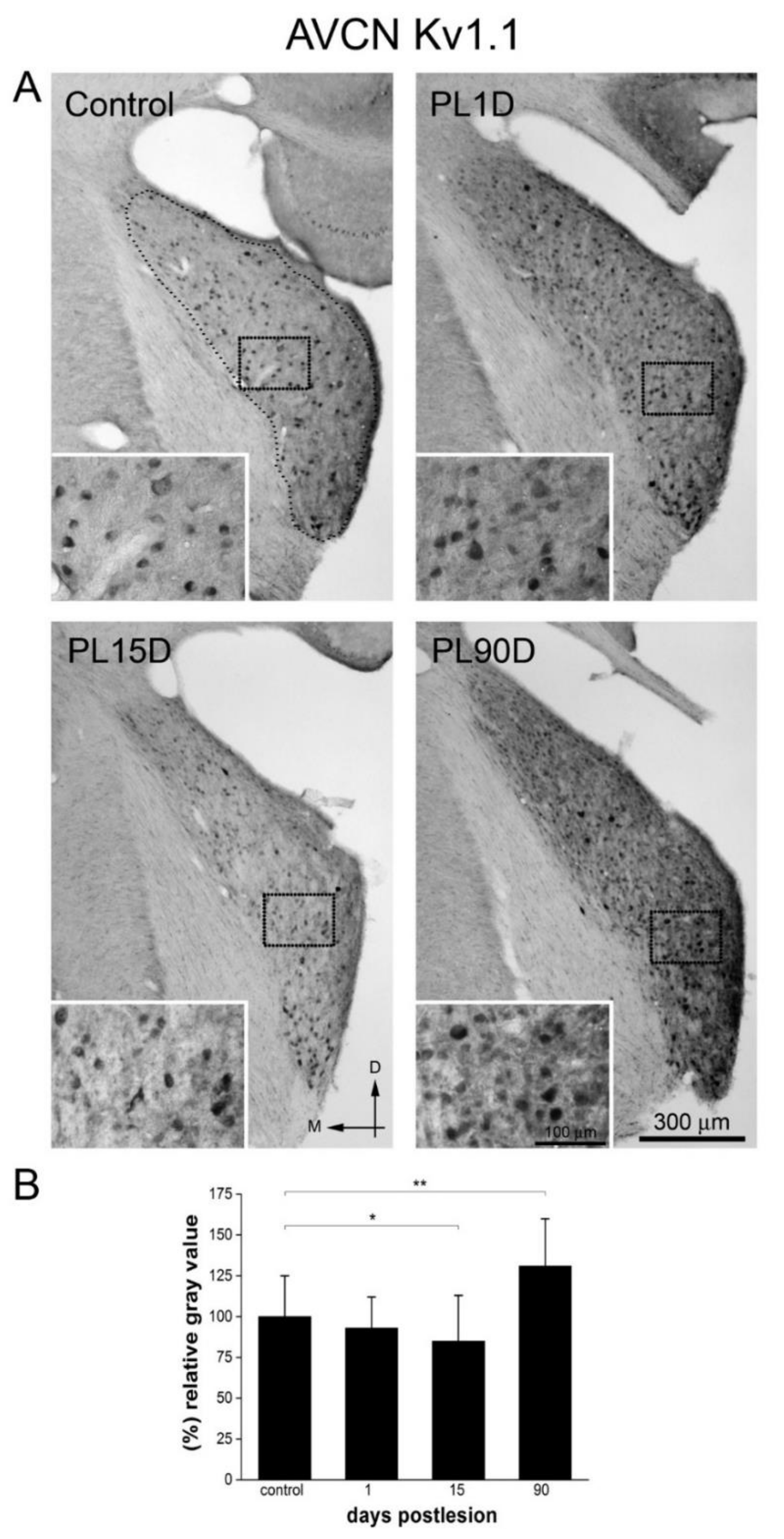 Brainsci 10 00035 g004