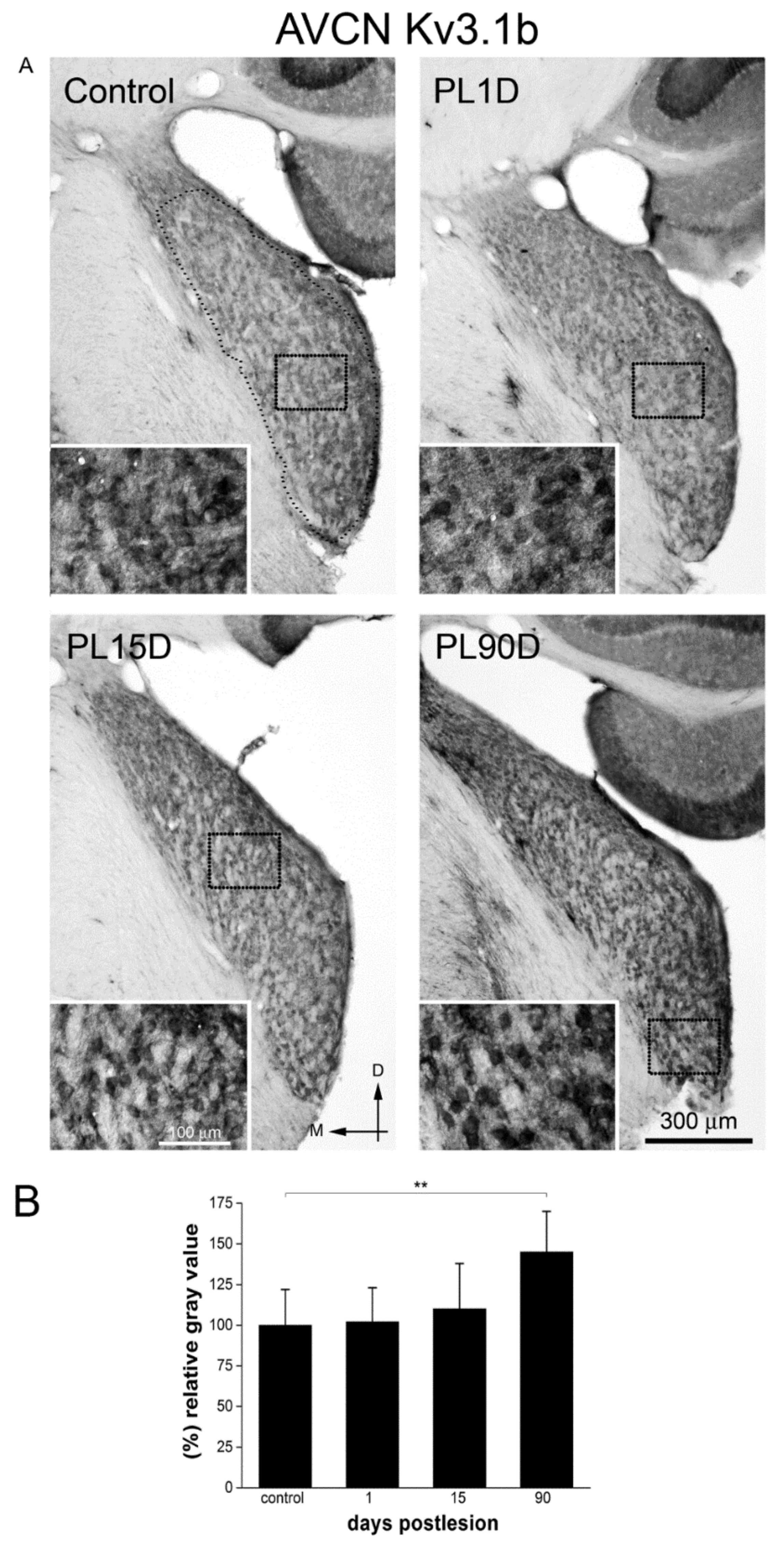 Brainsci 10 00035 g005