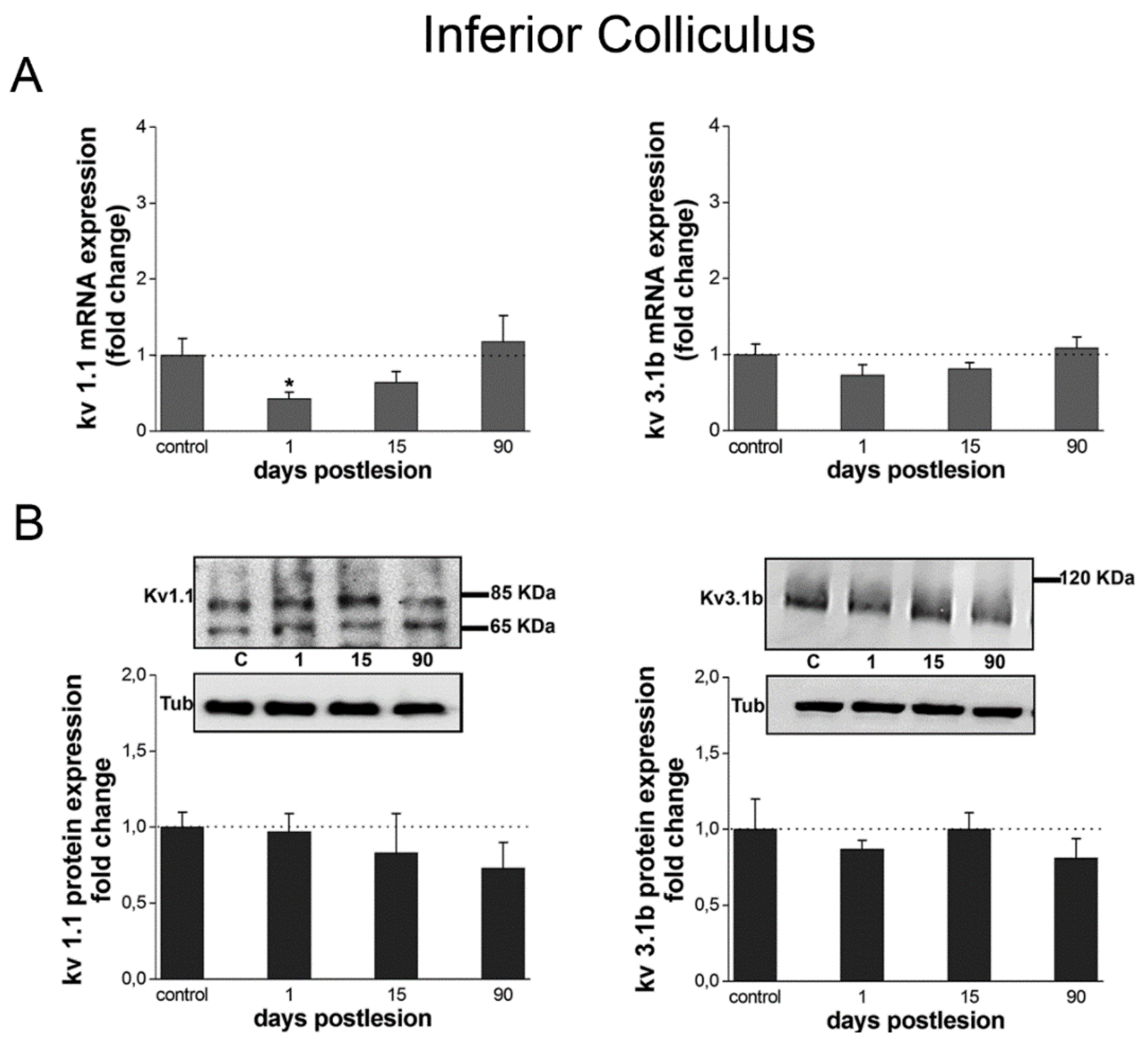 Brainsci 10 00035 g006