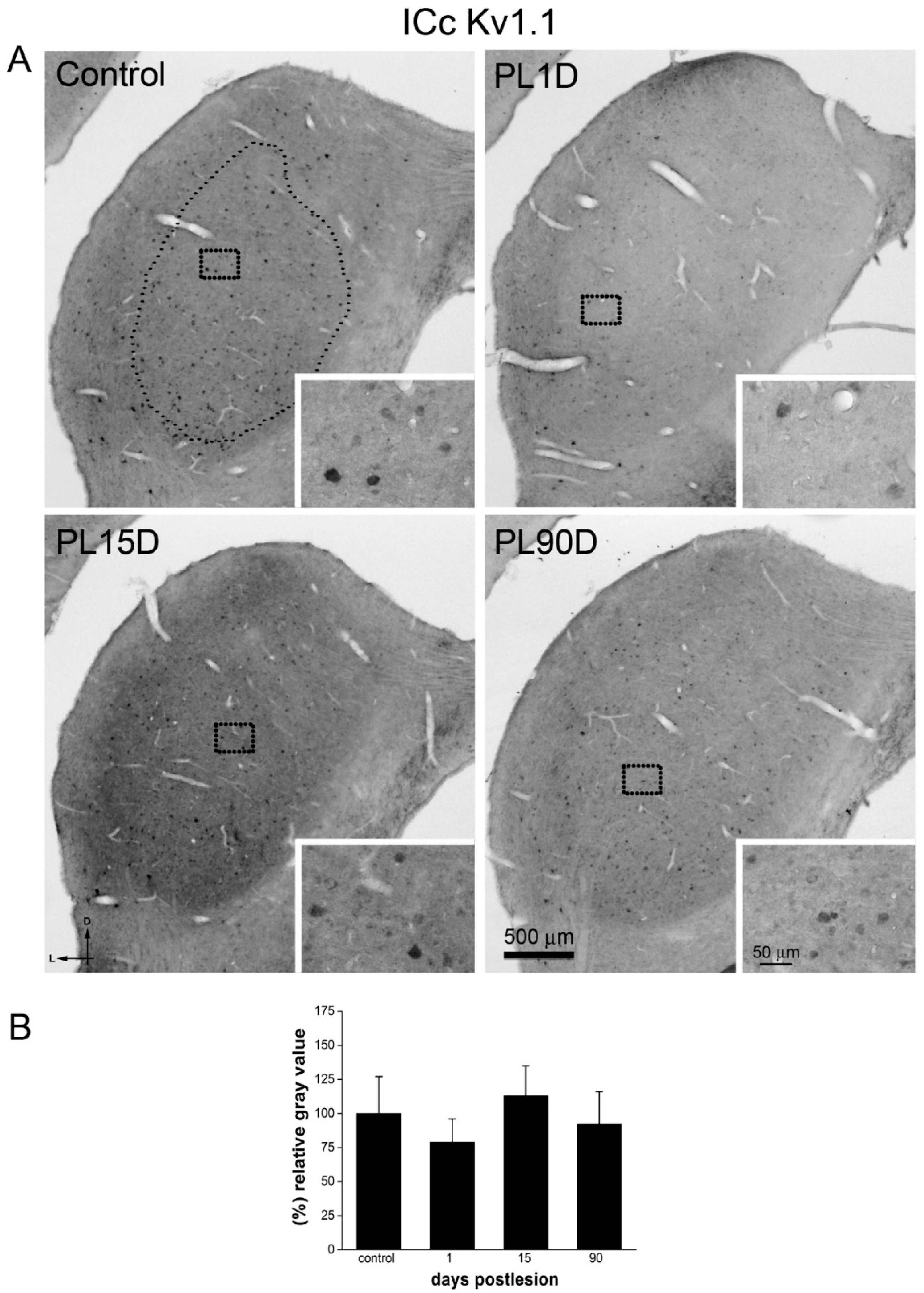 Brainsci 10 00035 g007