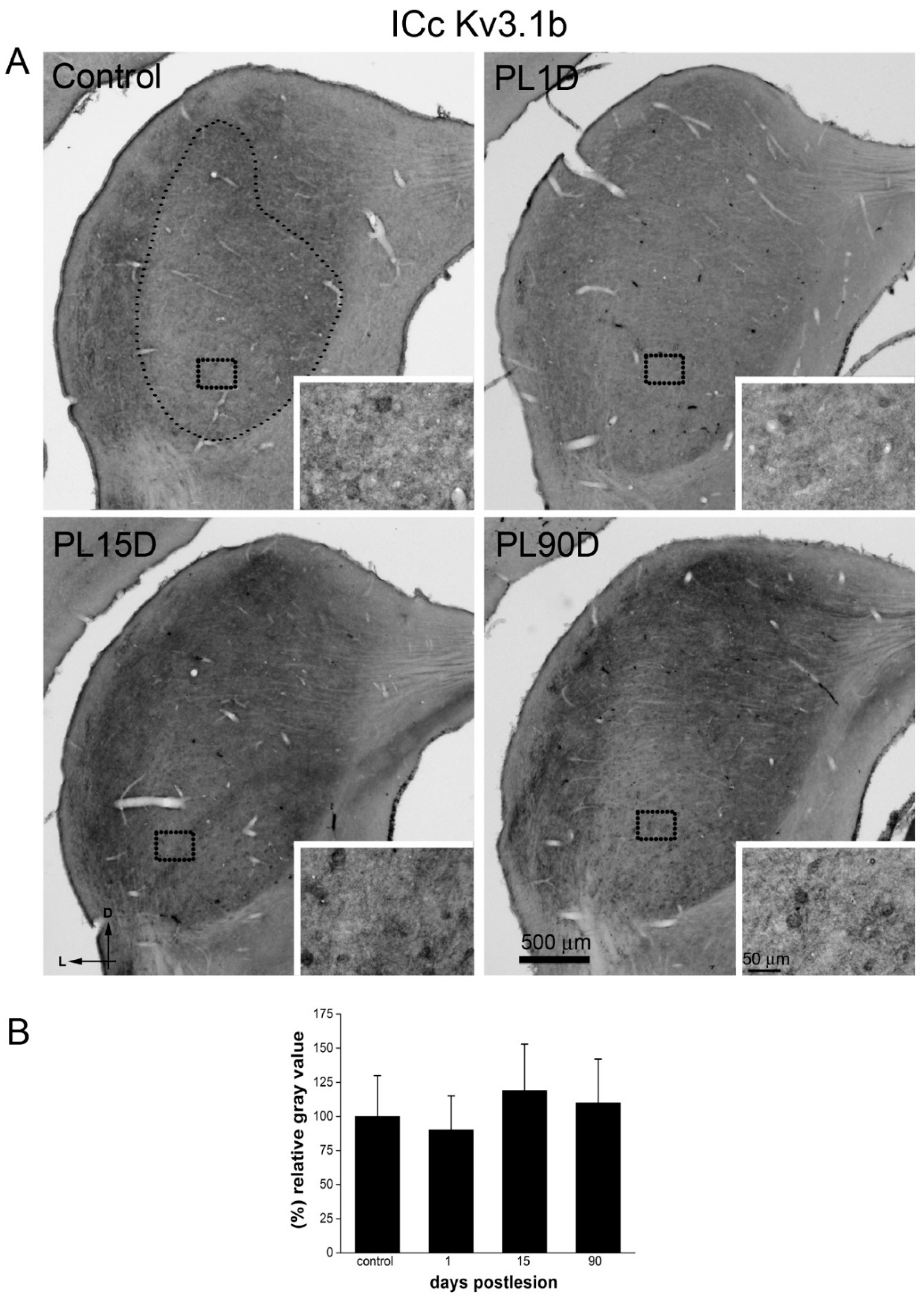 Brainsci 10 00035 g008