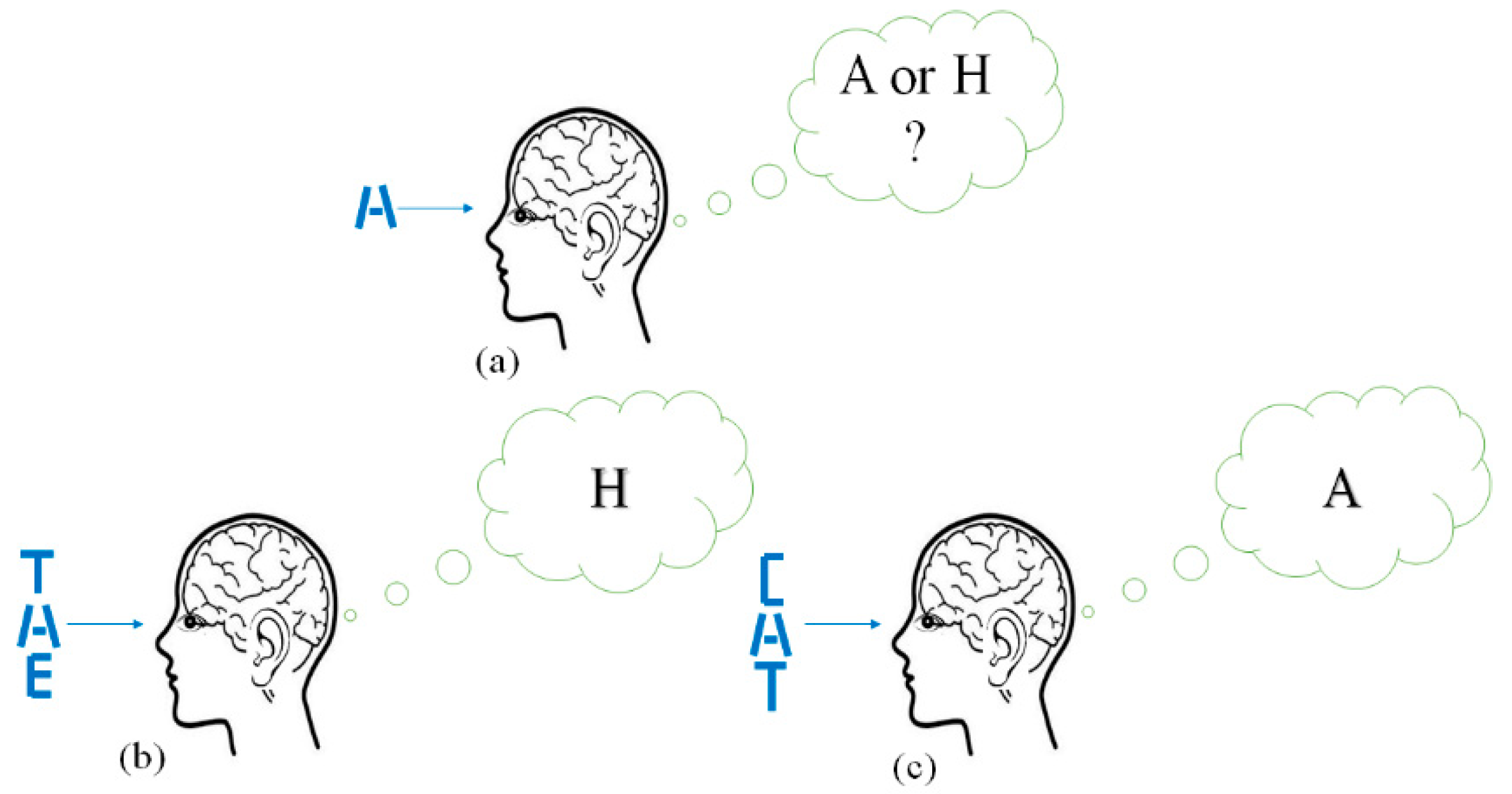 Brainsci 10 00064 g001