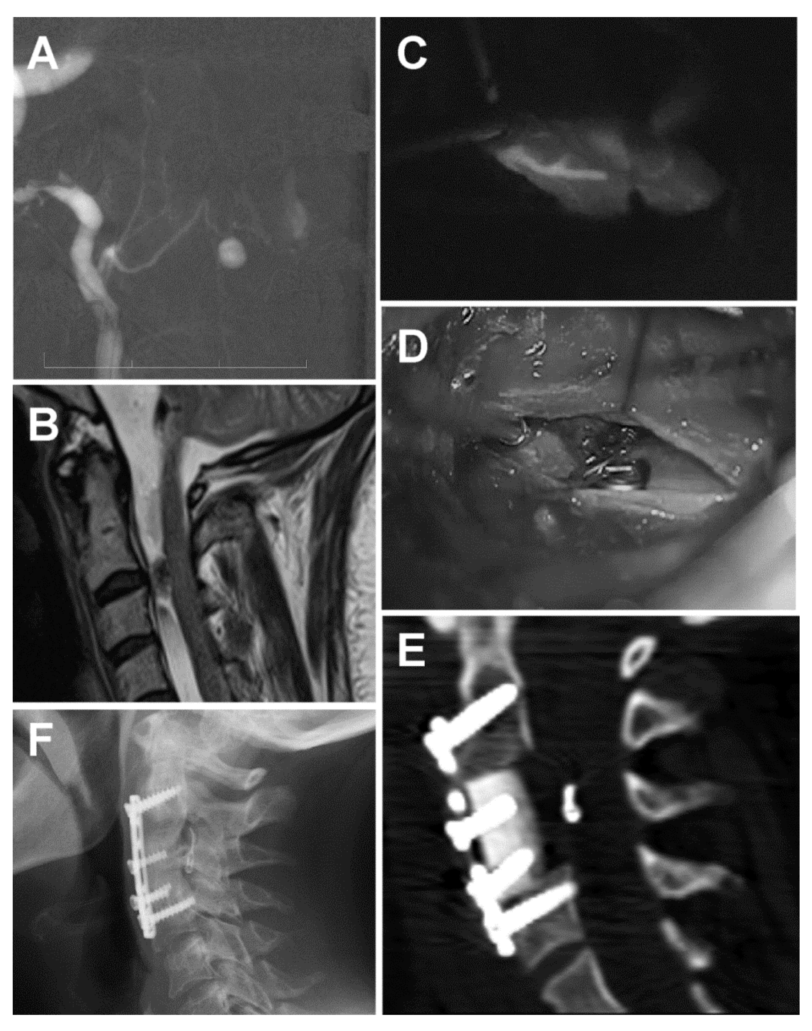 Brainsci 10 00070 g002