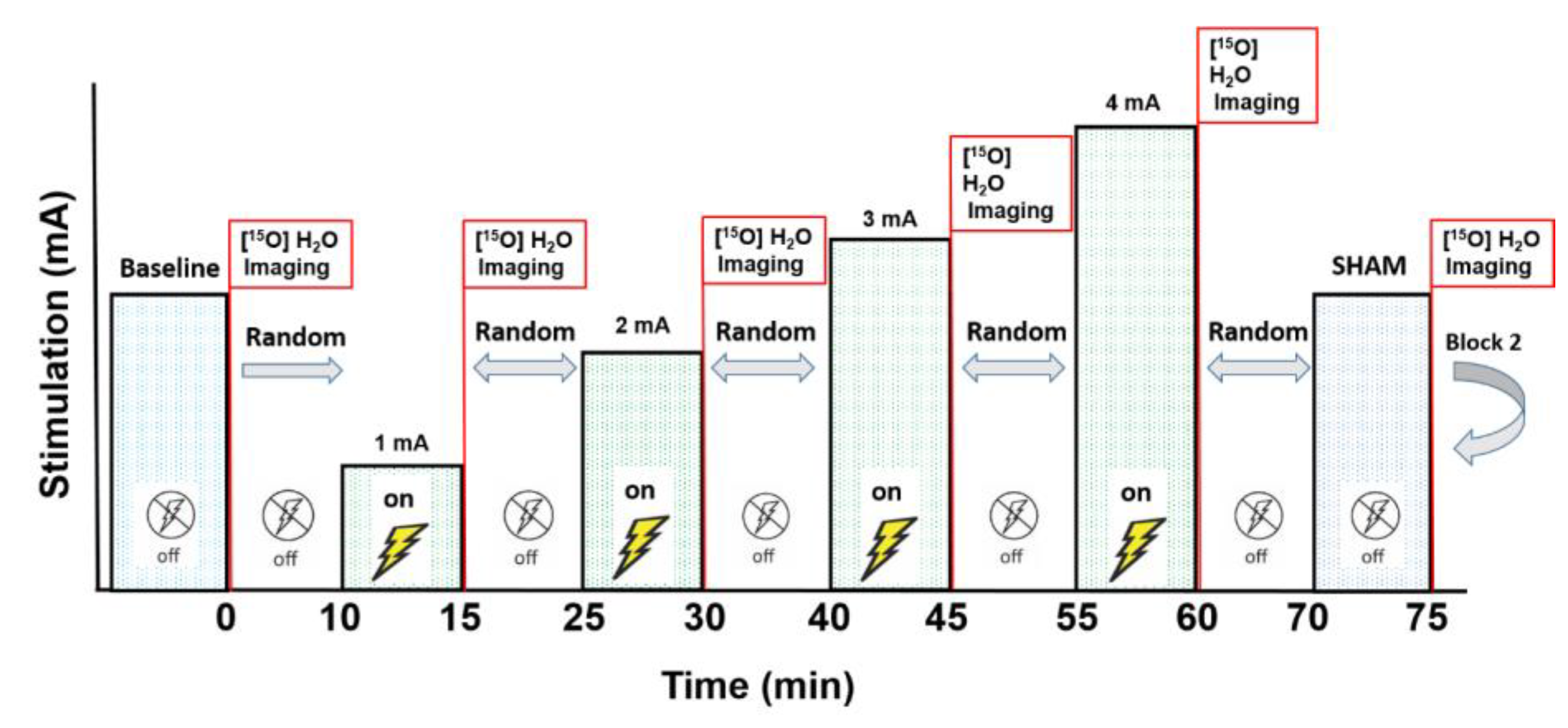 Brainsci 10 00082 g001