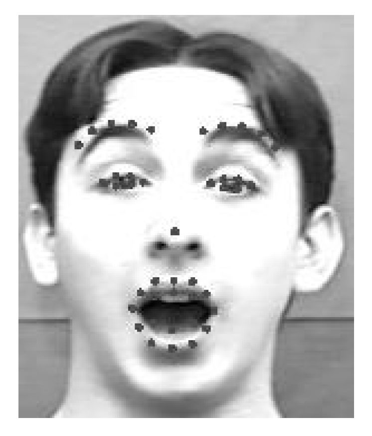 Brainsci 10 00085 g006