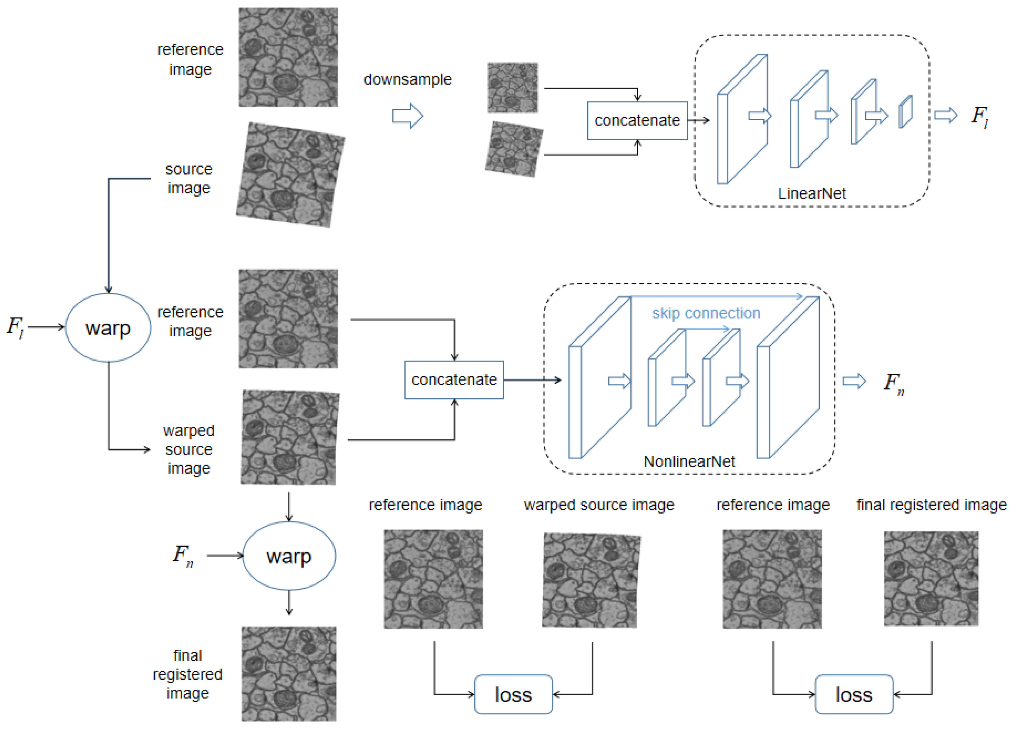 Brainsci 10 00086 g001