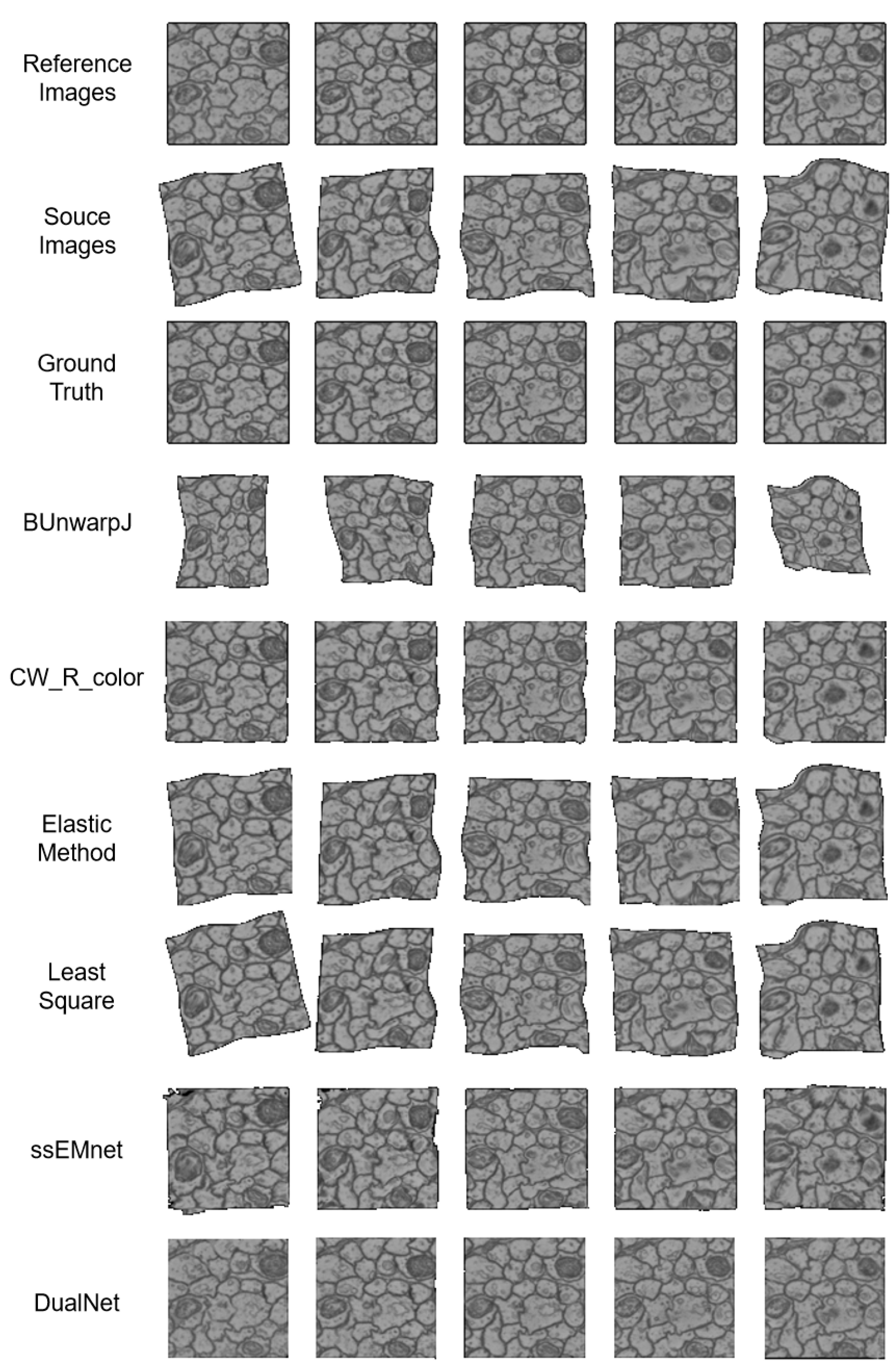 Brainsci 10 00086 g002