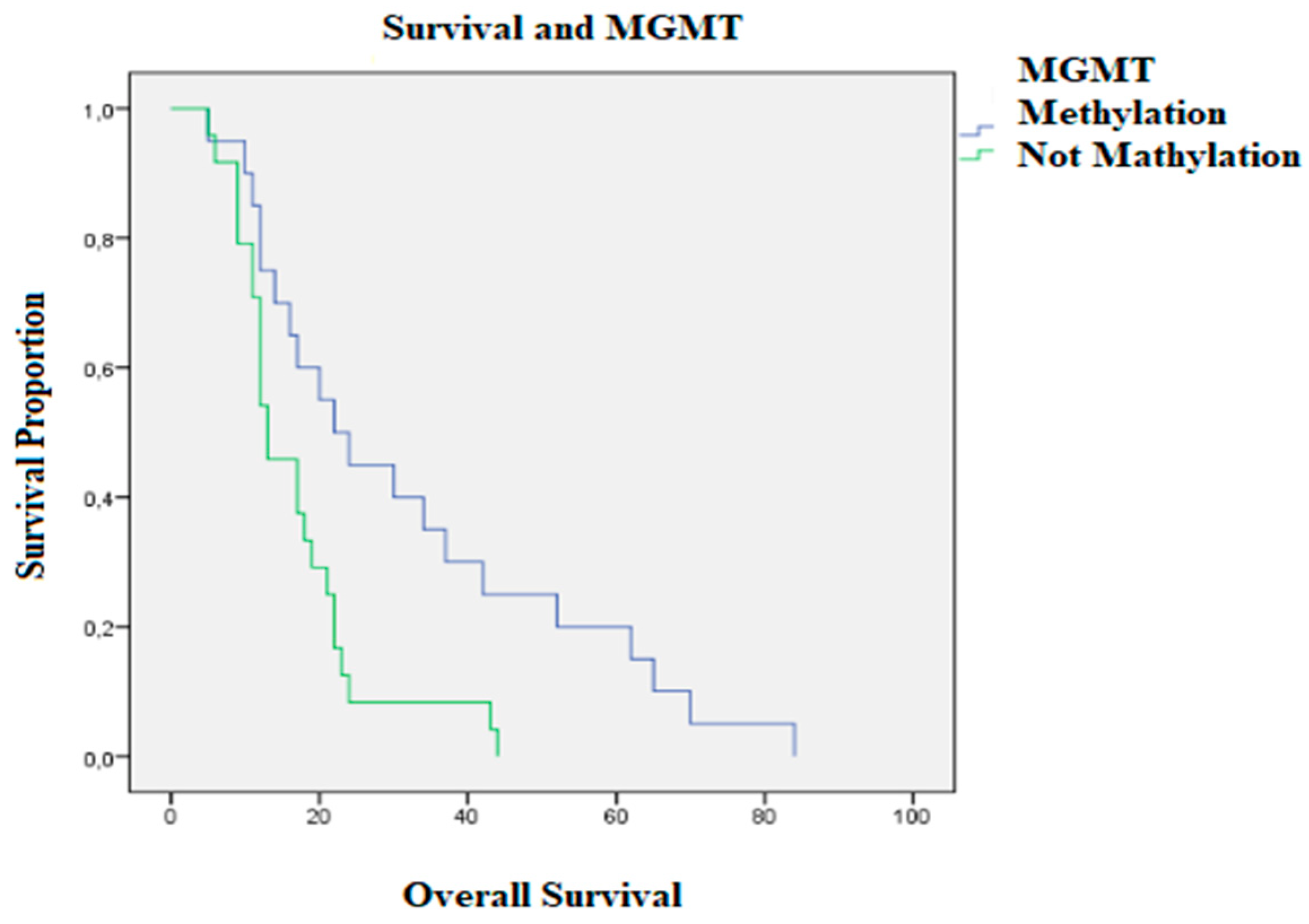 Brainsci 10 00091 g005