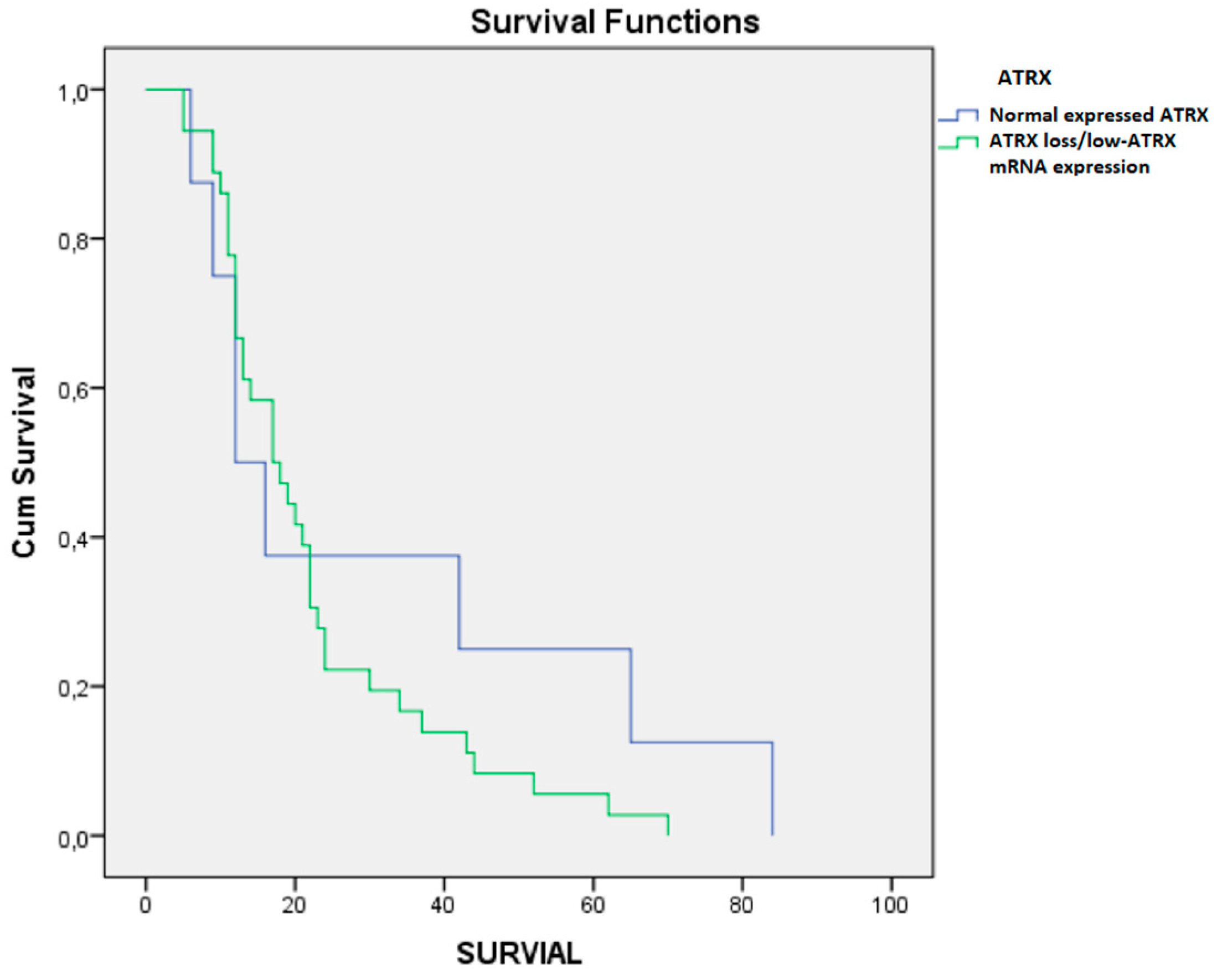 Brainsci 10 00091 g006