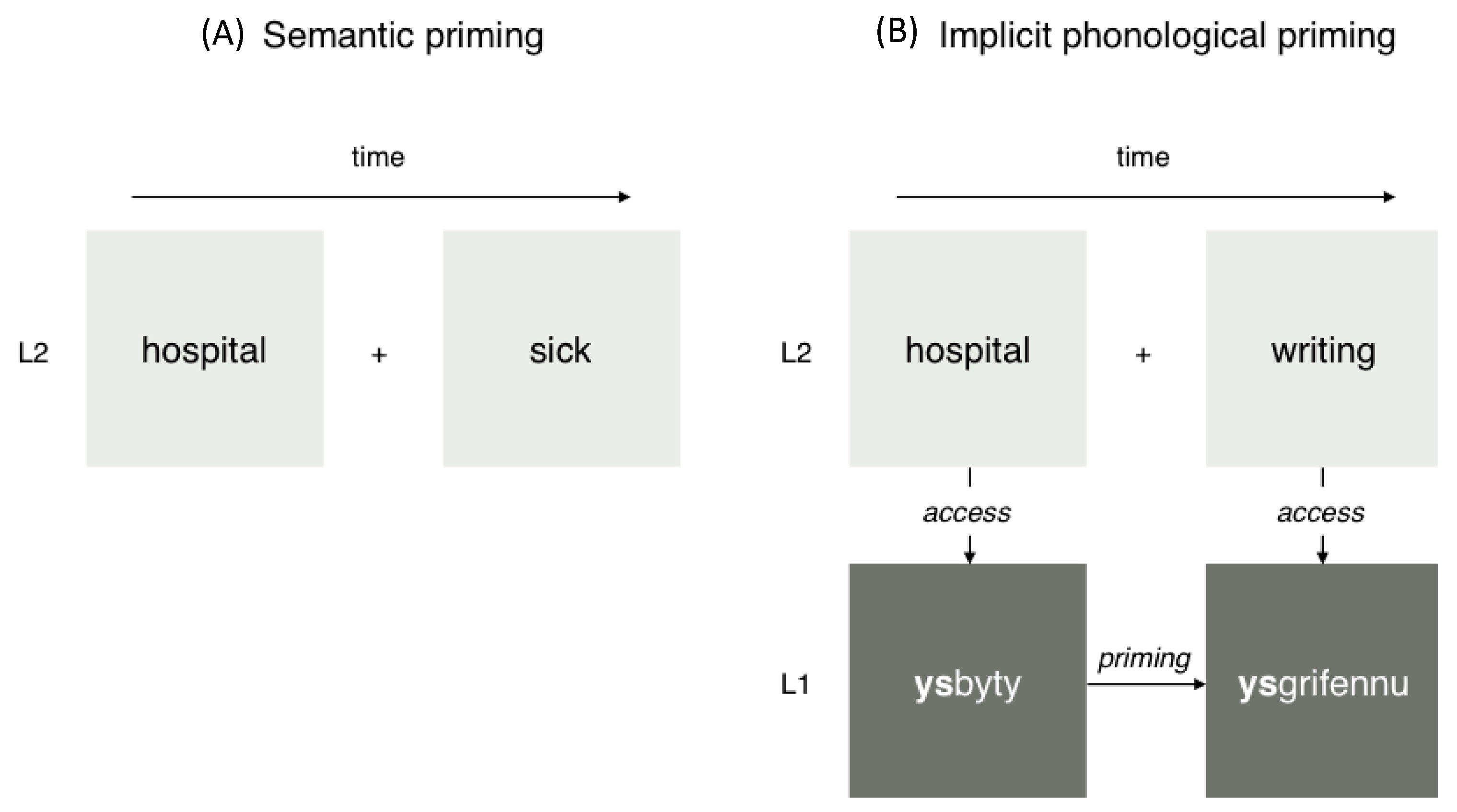 Brainsci 10 00113 g001