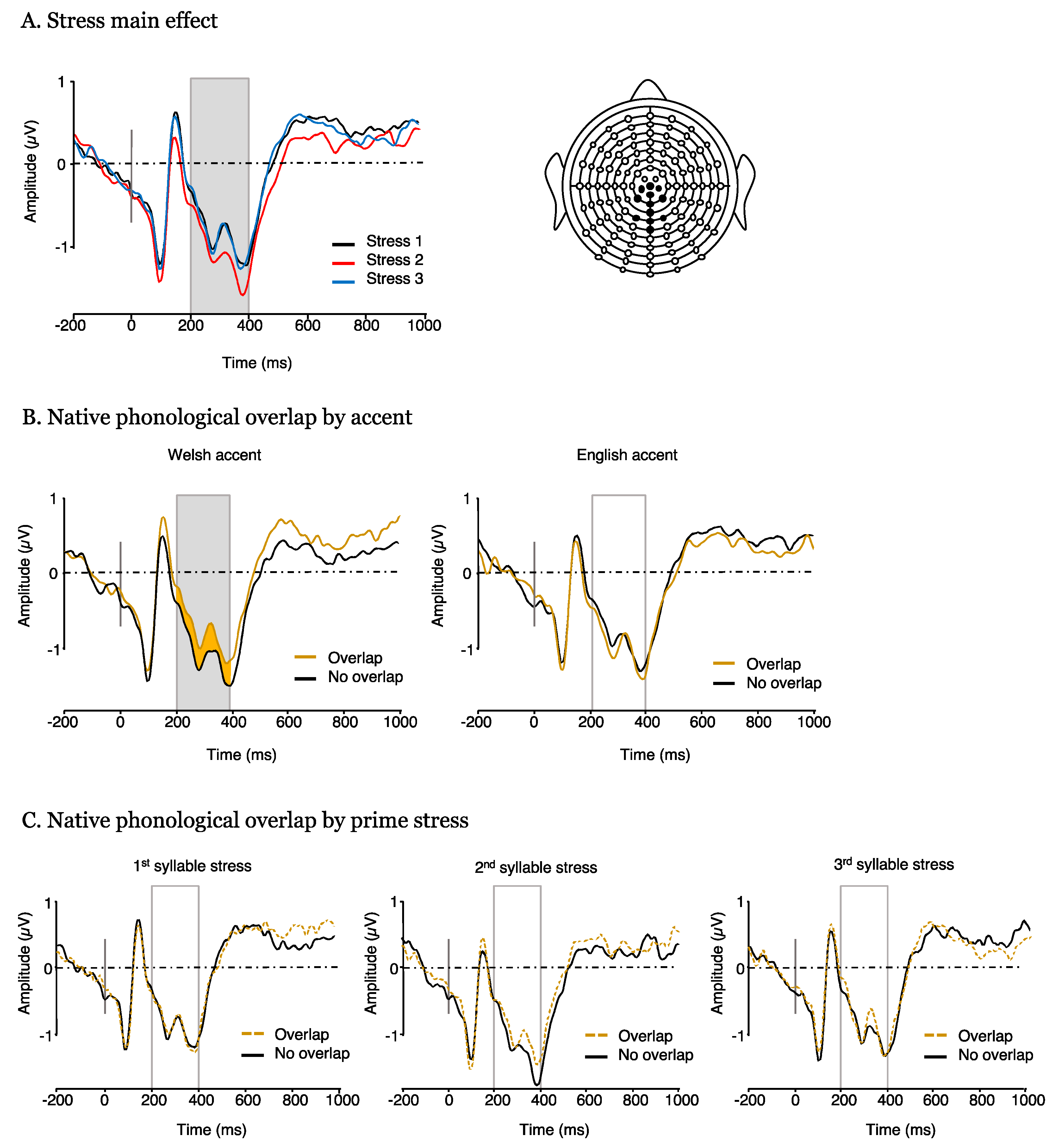 Brainsci 10 00113 g005