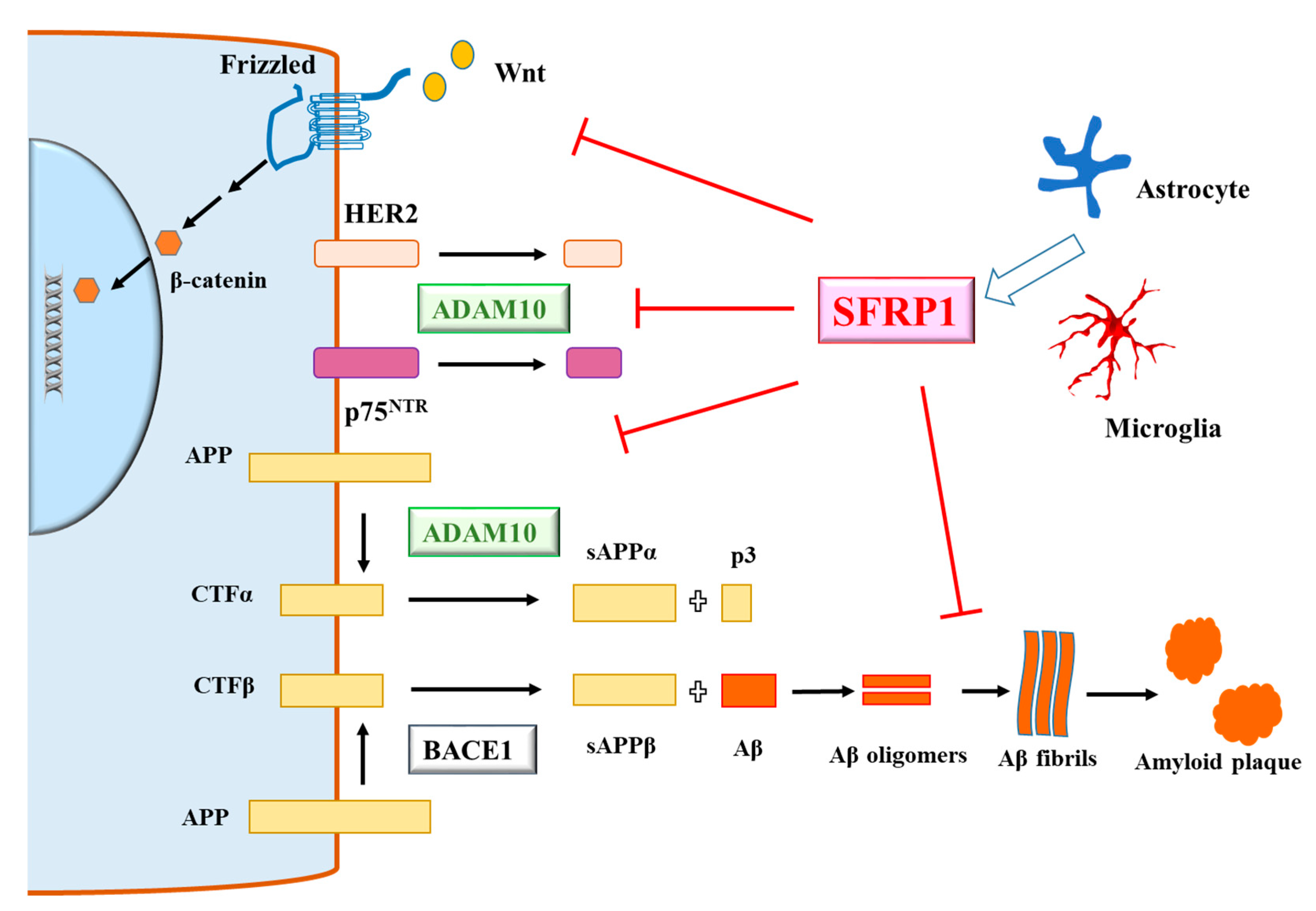 Brainsci 10 00122 g001 Brainsci 10 00122 g001