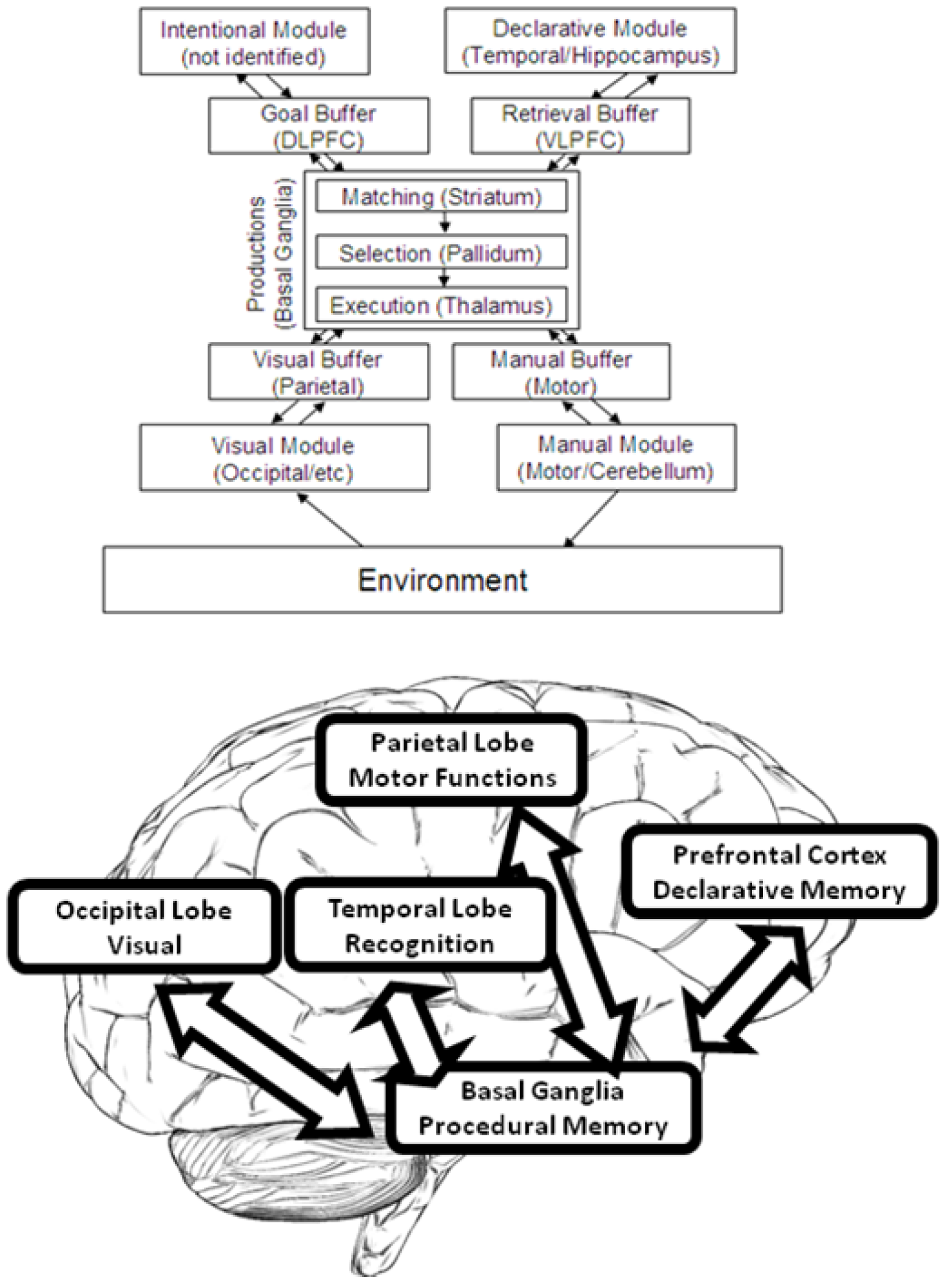 Brainsci 10 00124 g004 Brainsci 10 00124 g004