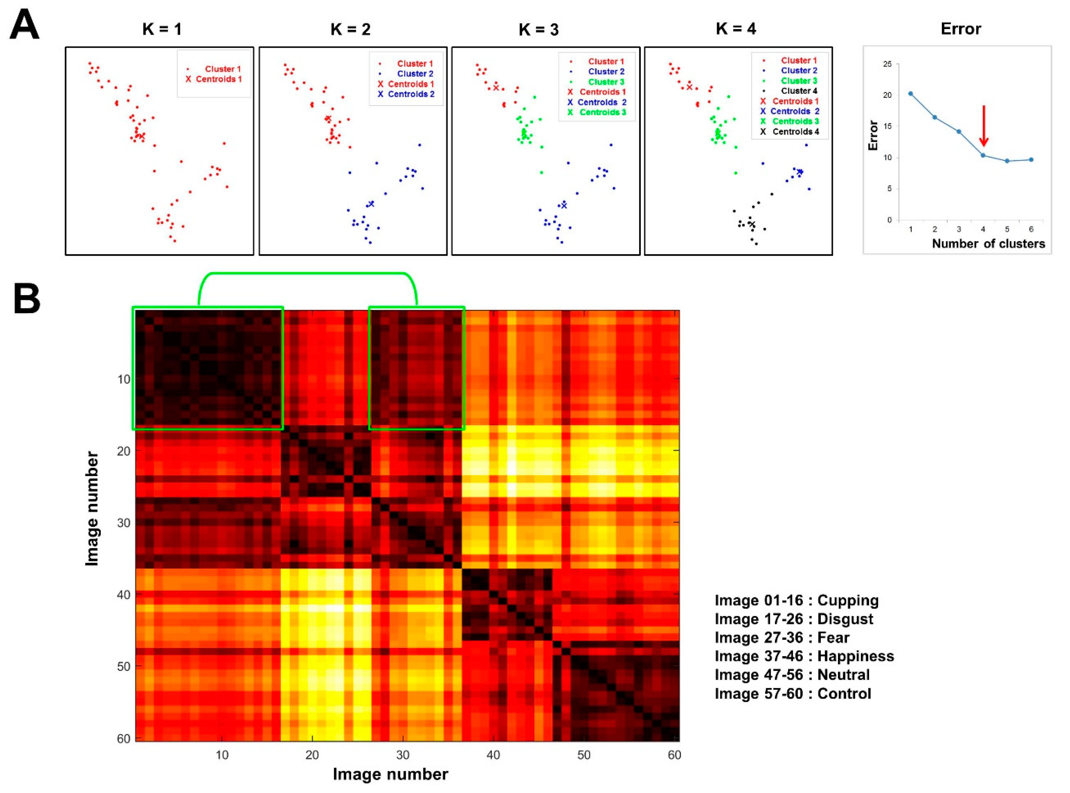 Brainsci 10 00144 g003 Brainsci 10 00144 g003