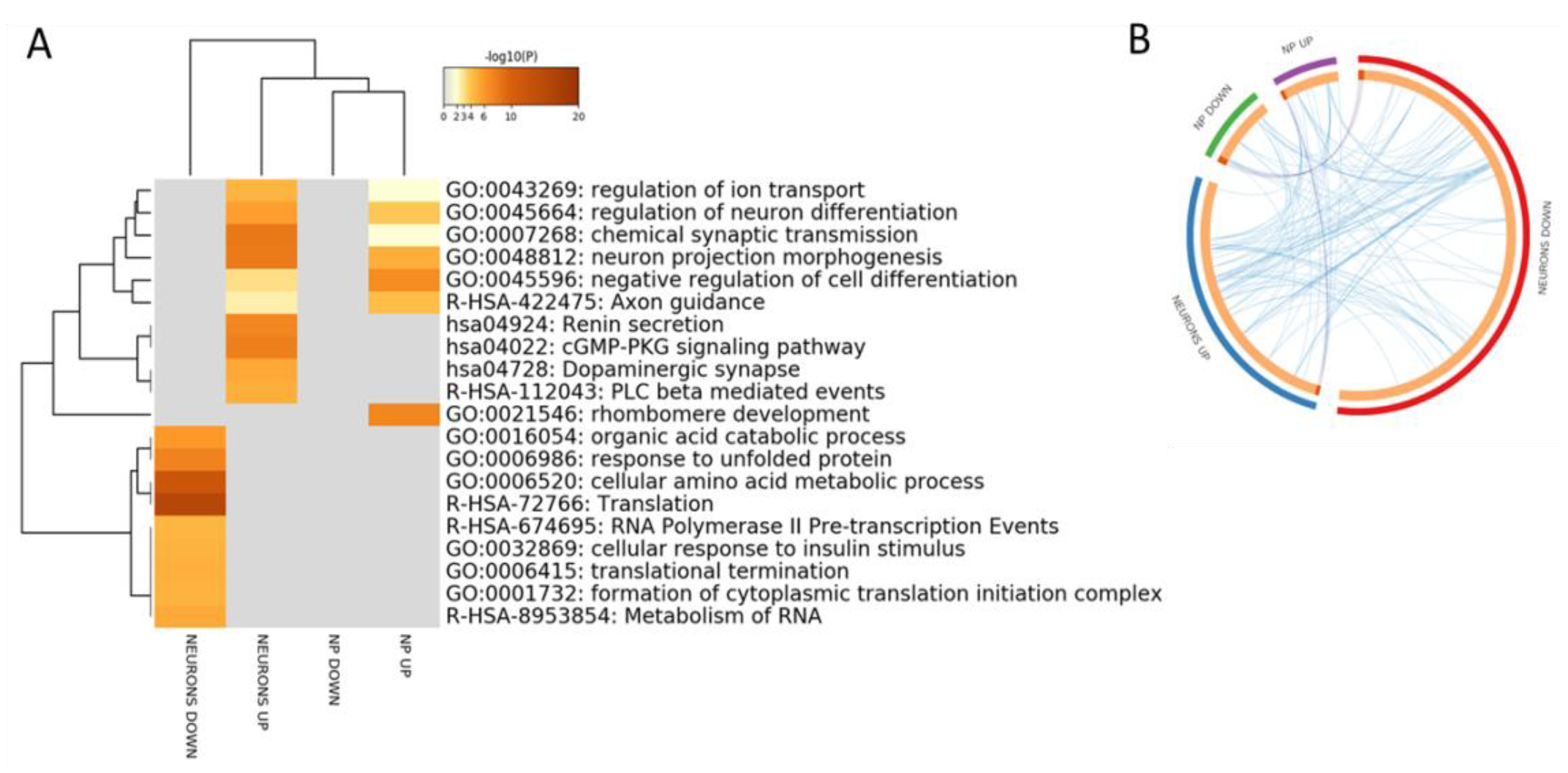 Brainsci 10 00166 g002