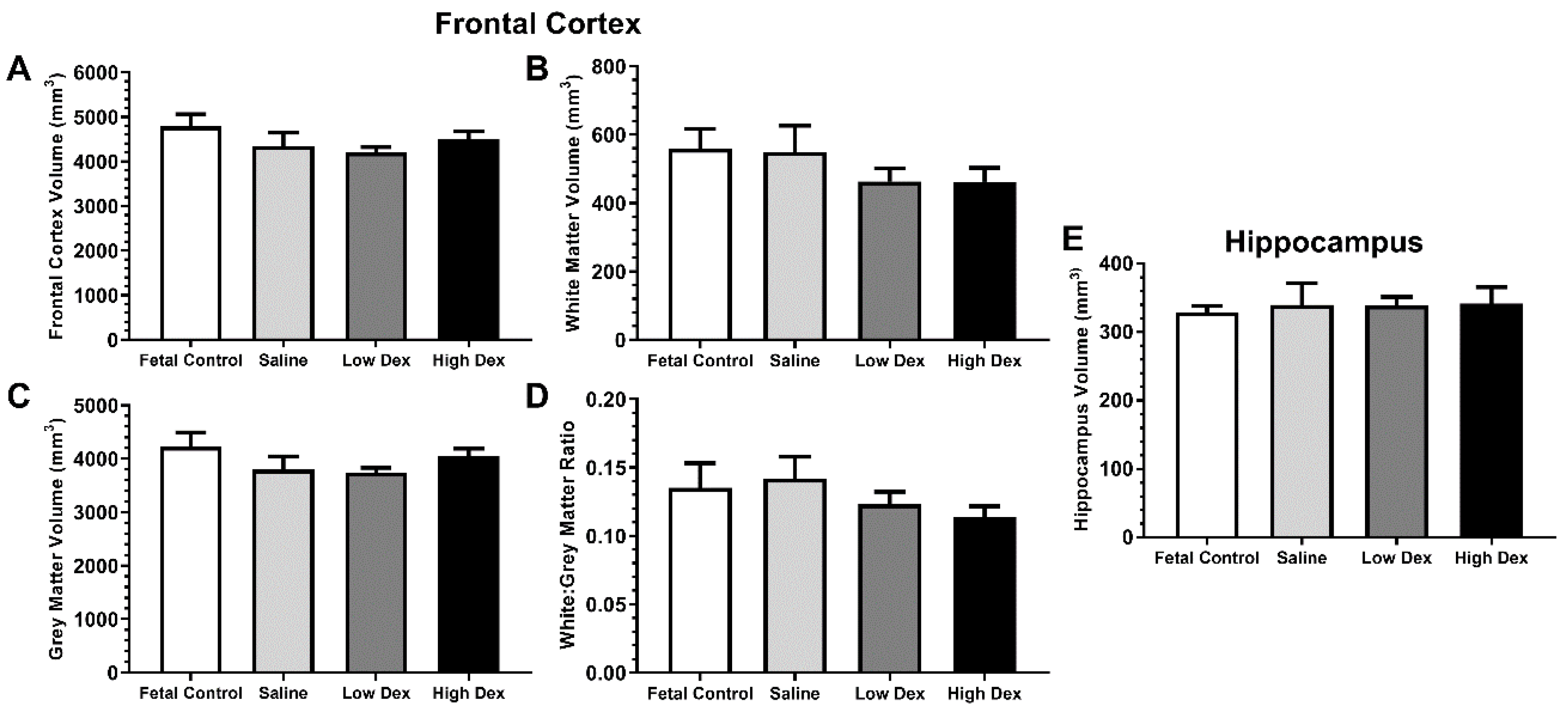 Brainsci 10 00211 g006 Brainsci 10 00211 g006