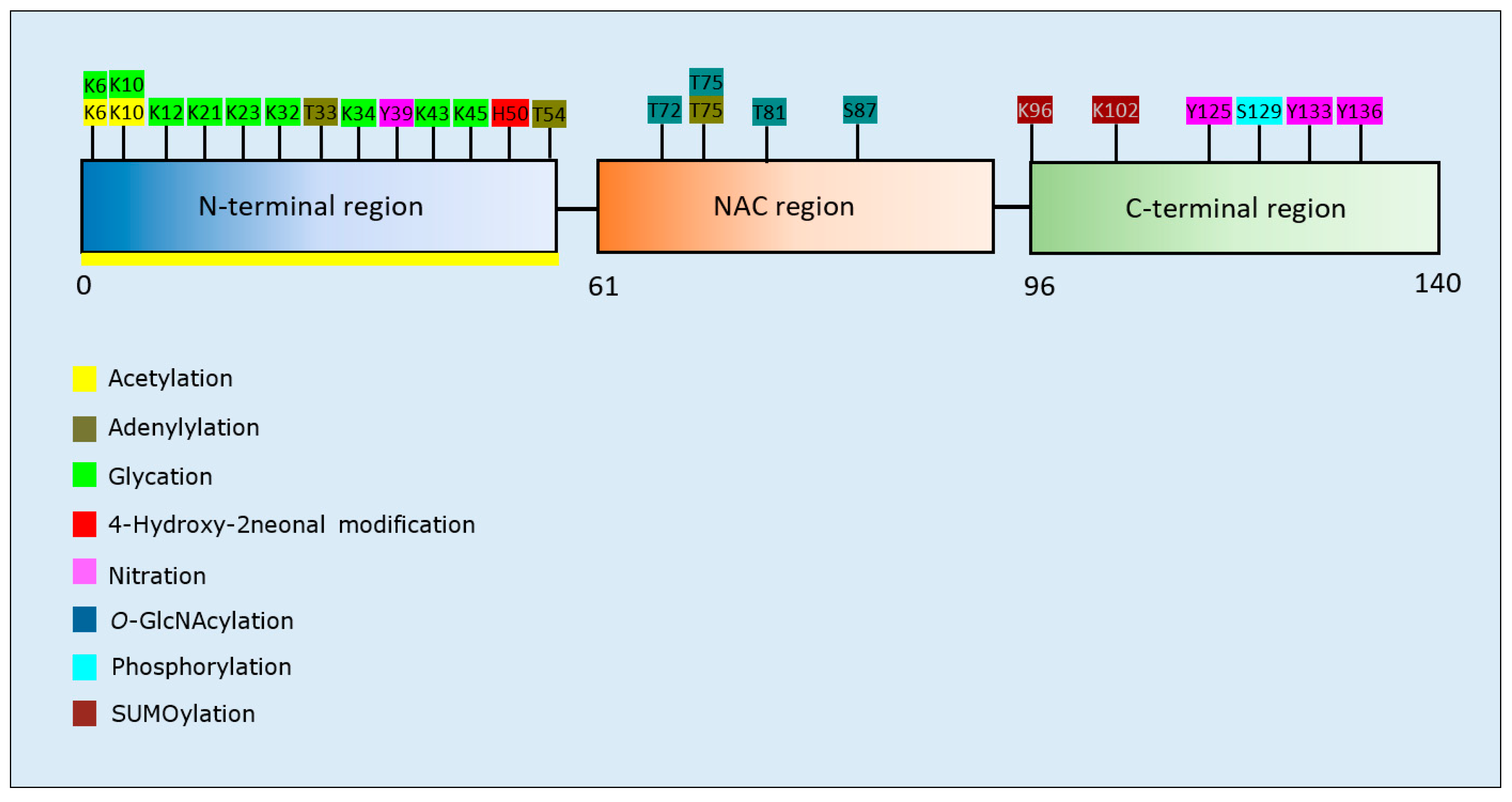 Brainsci 10 00232 g004