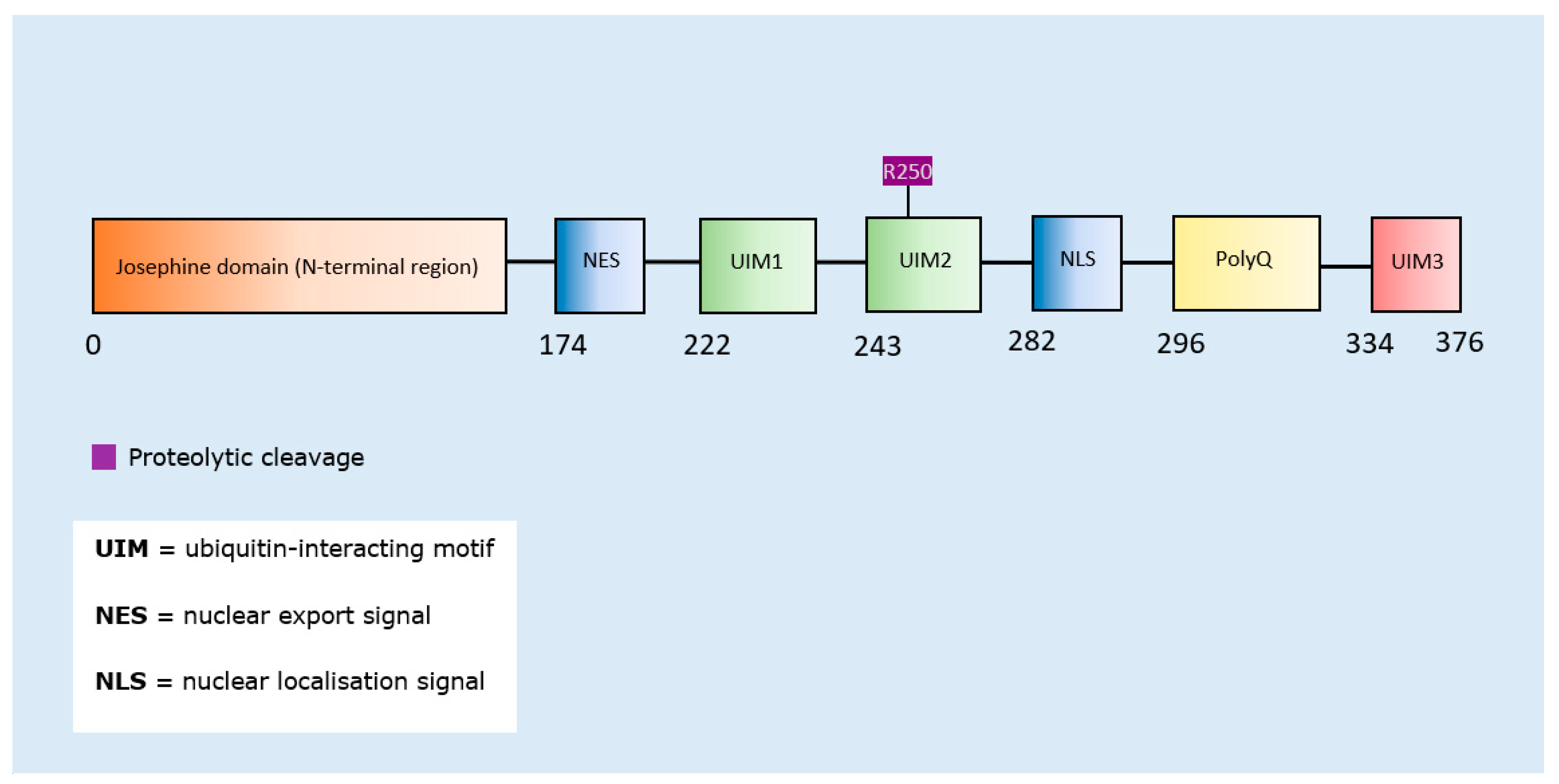 Brainsci 10 00232 g008