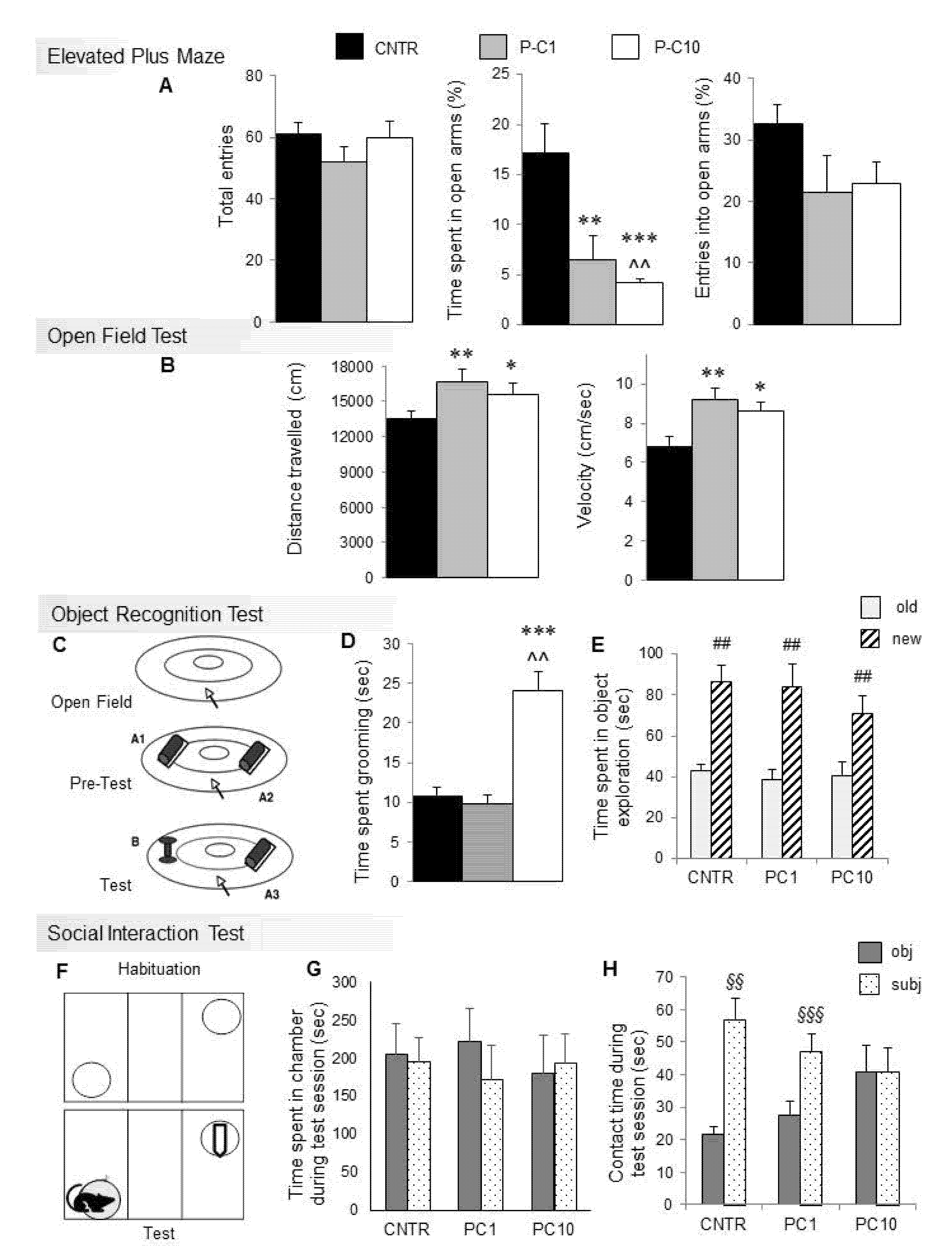 Brainsci 10 00233 g001