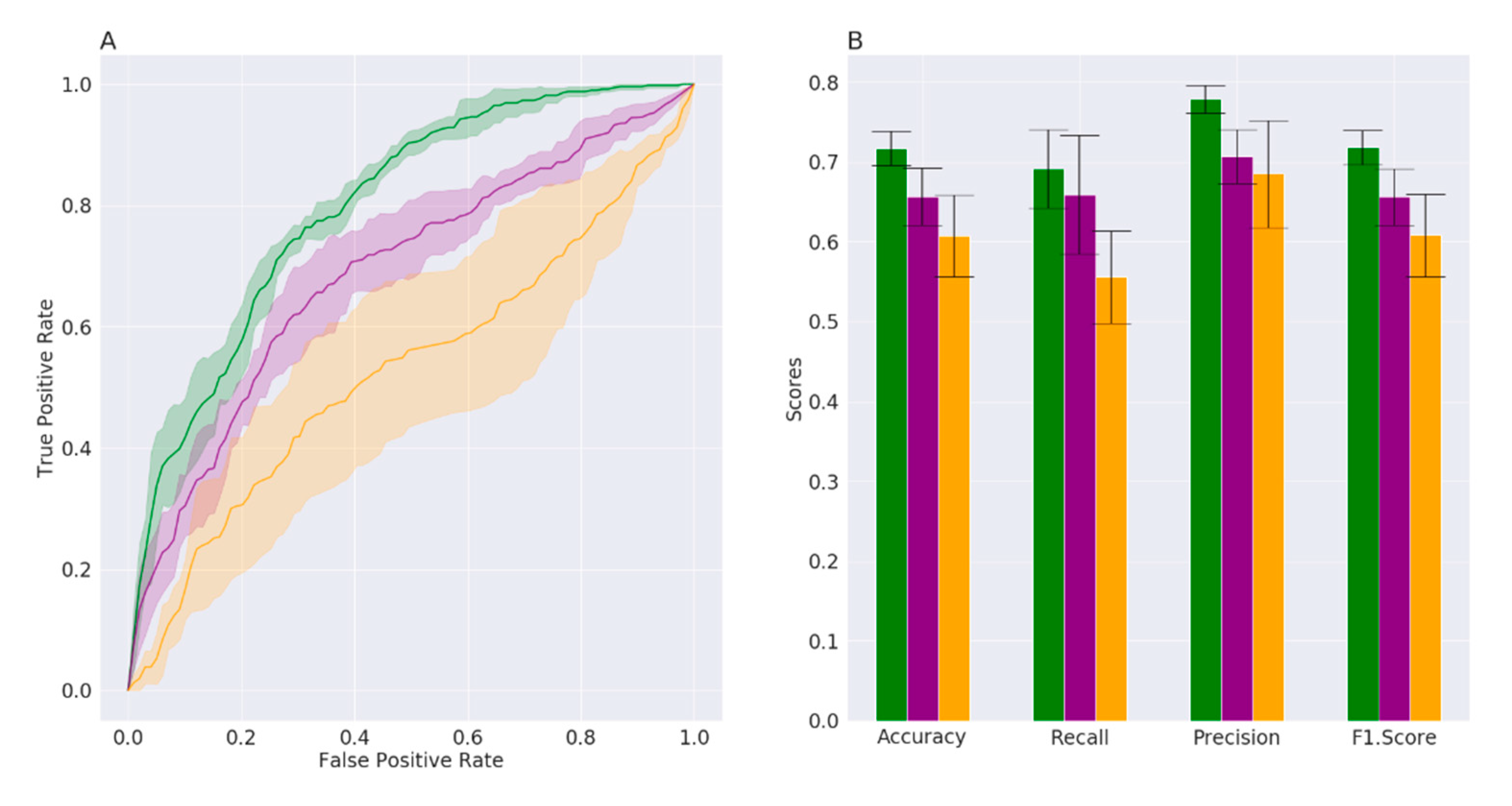 Brainsci 10 00242 g001