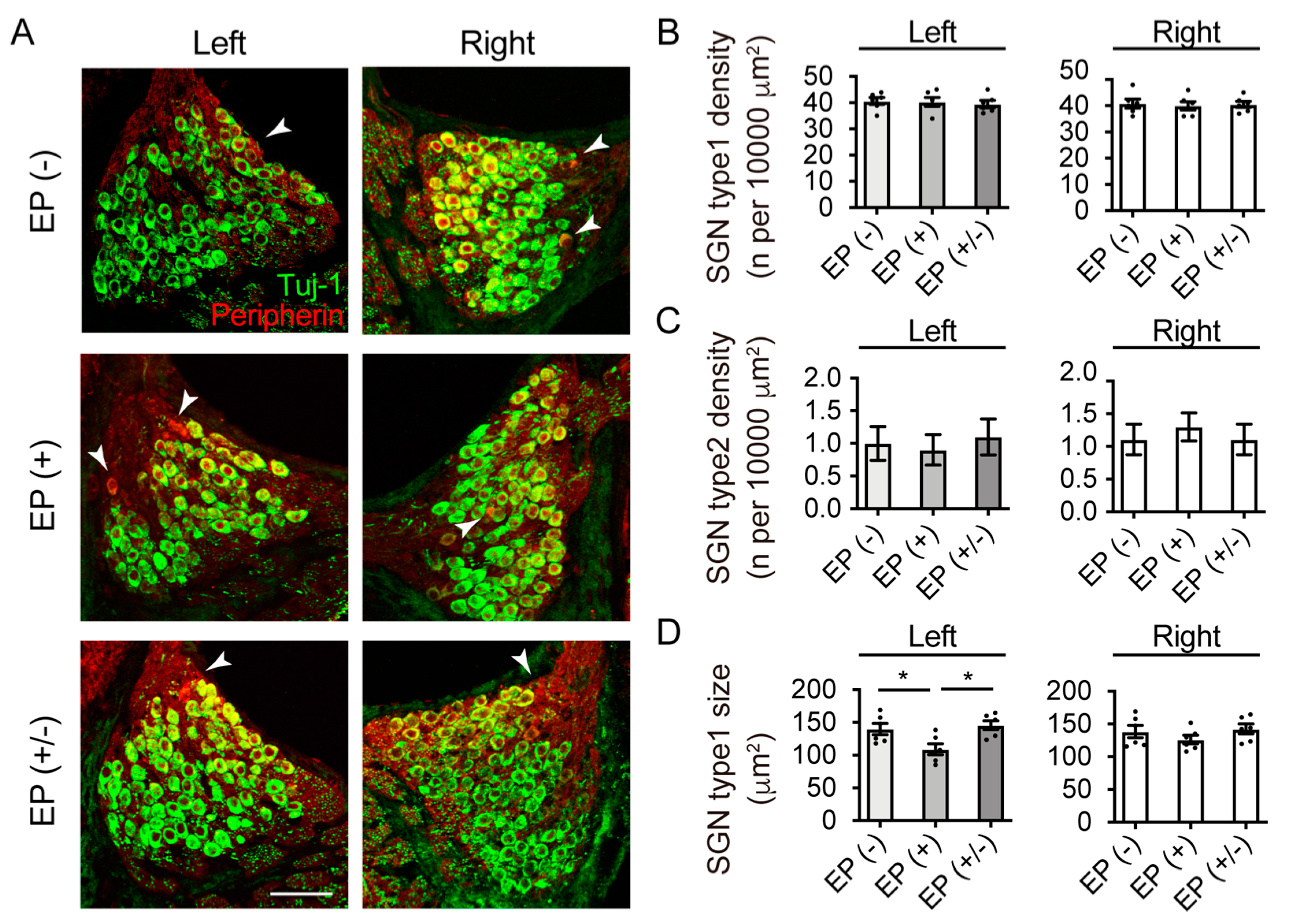 Brainsci 10 00260 g003