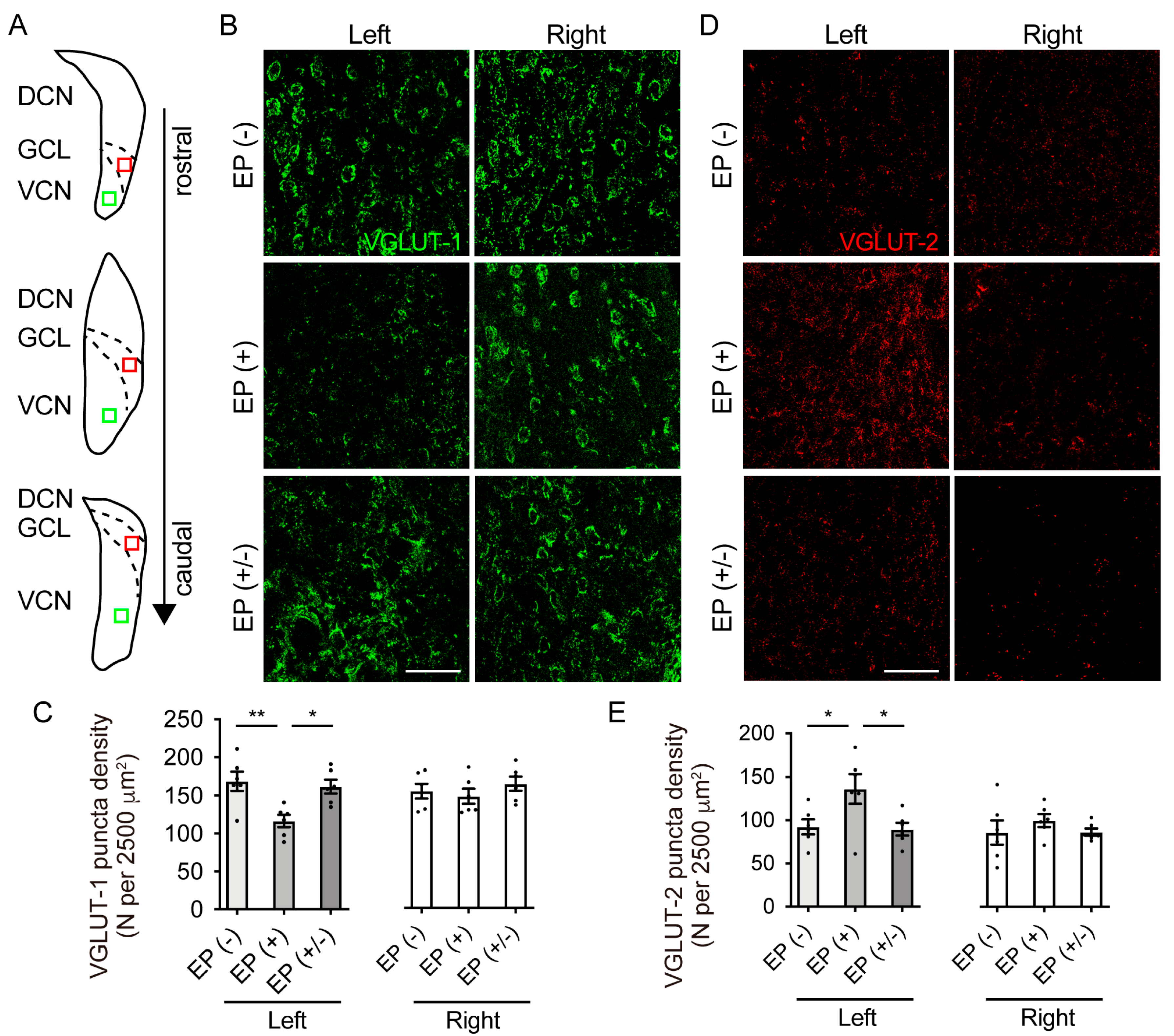 Brainsci 10 00260 g005