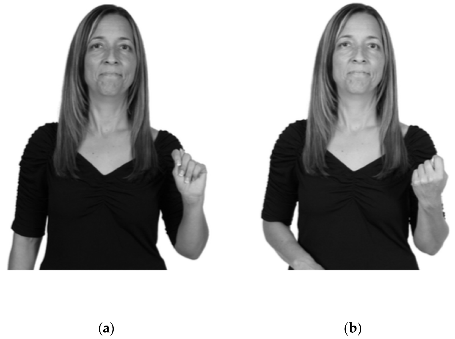 Brainsci 10 00268 g001