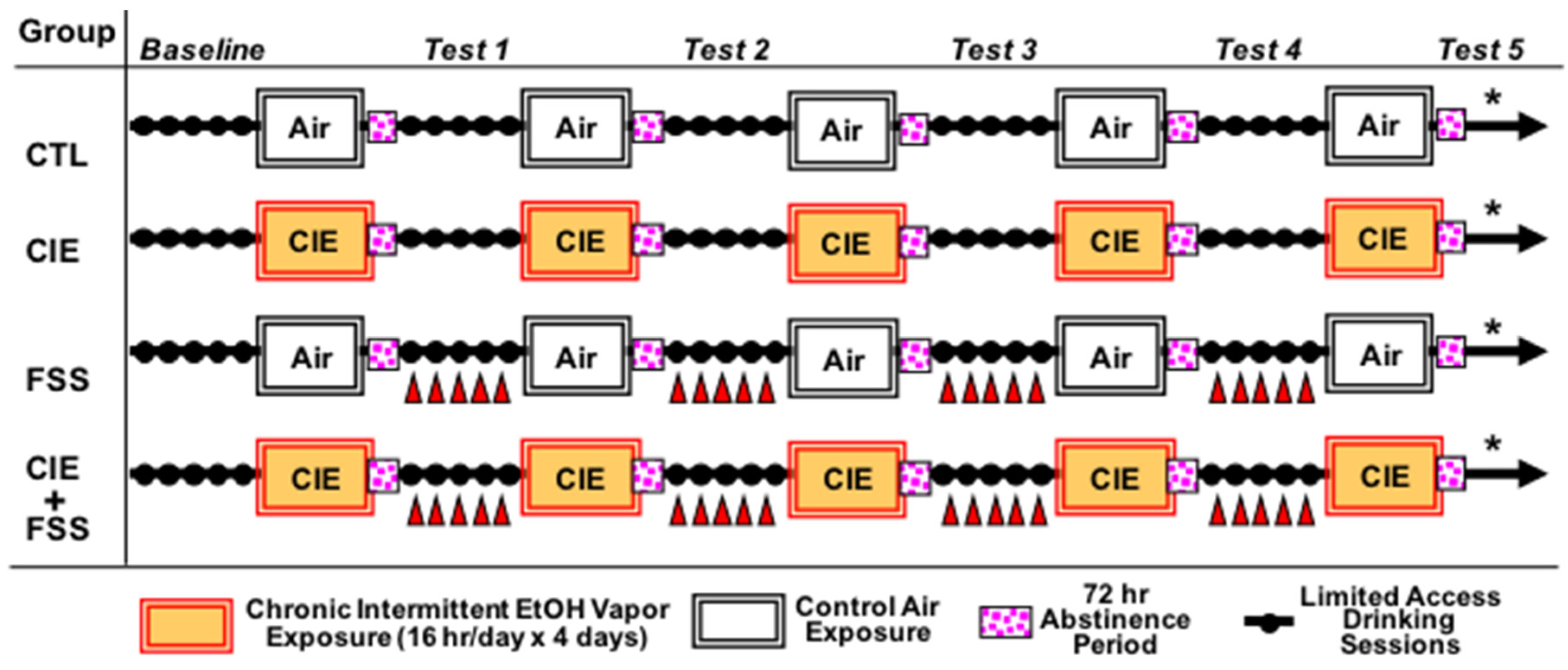Brainsci 10 00275 g001