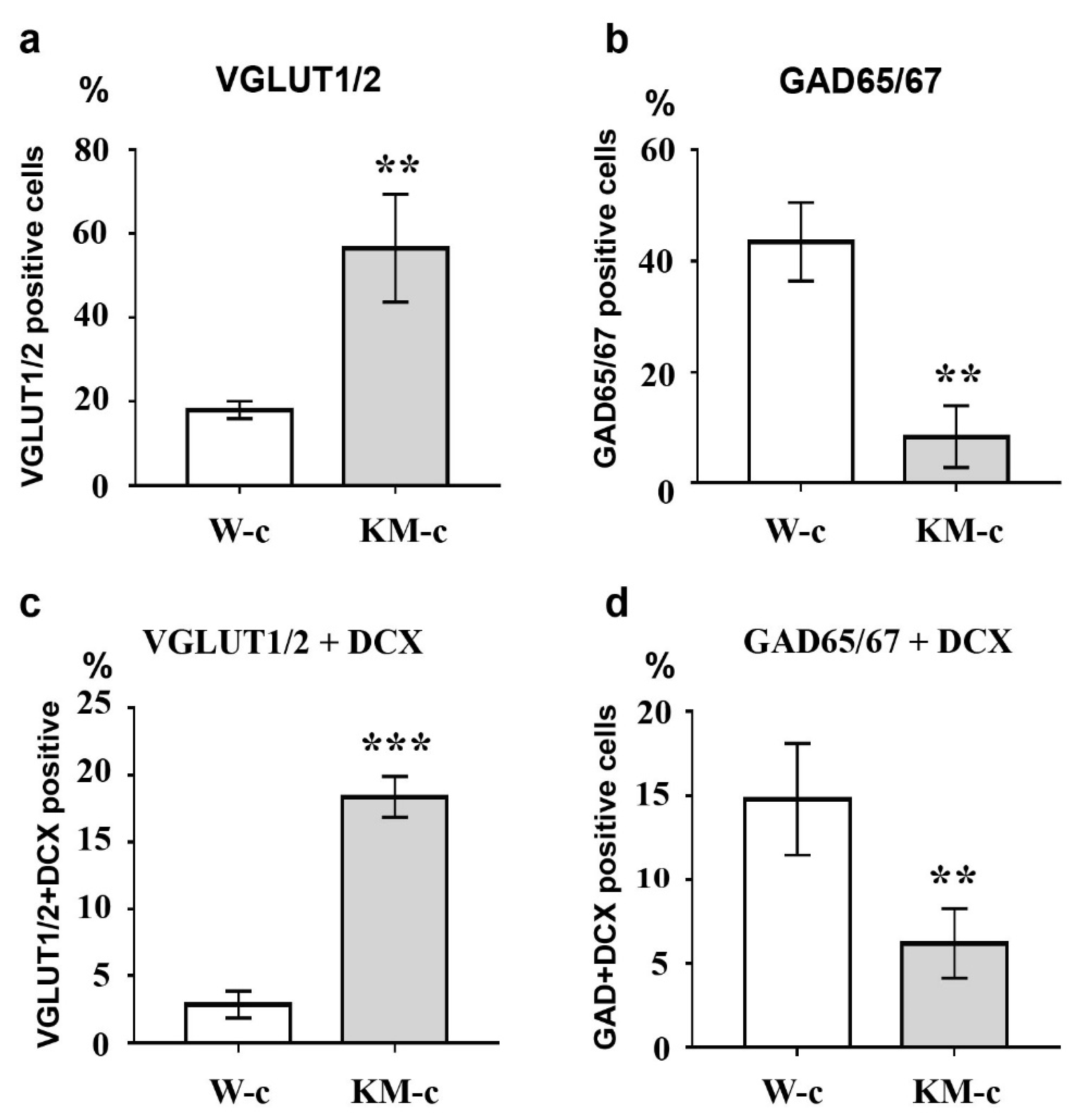 Brainsci 10 00311 g002 Brainsci 10 00311 g002