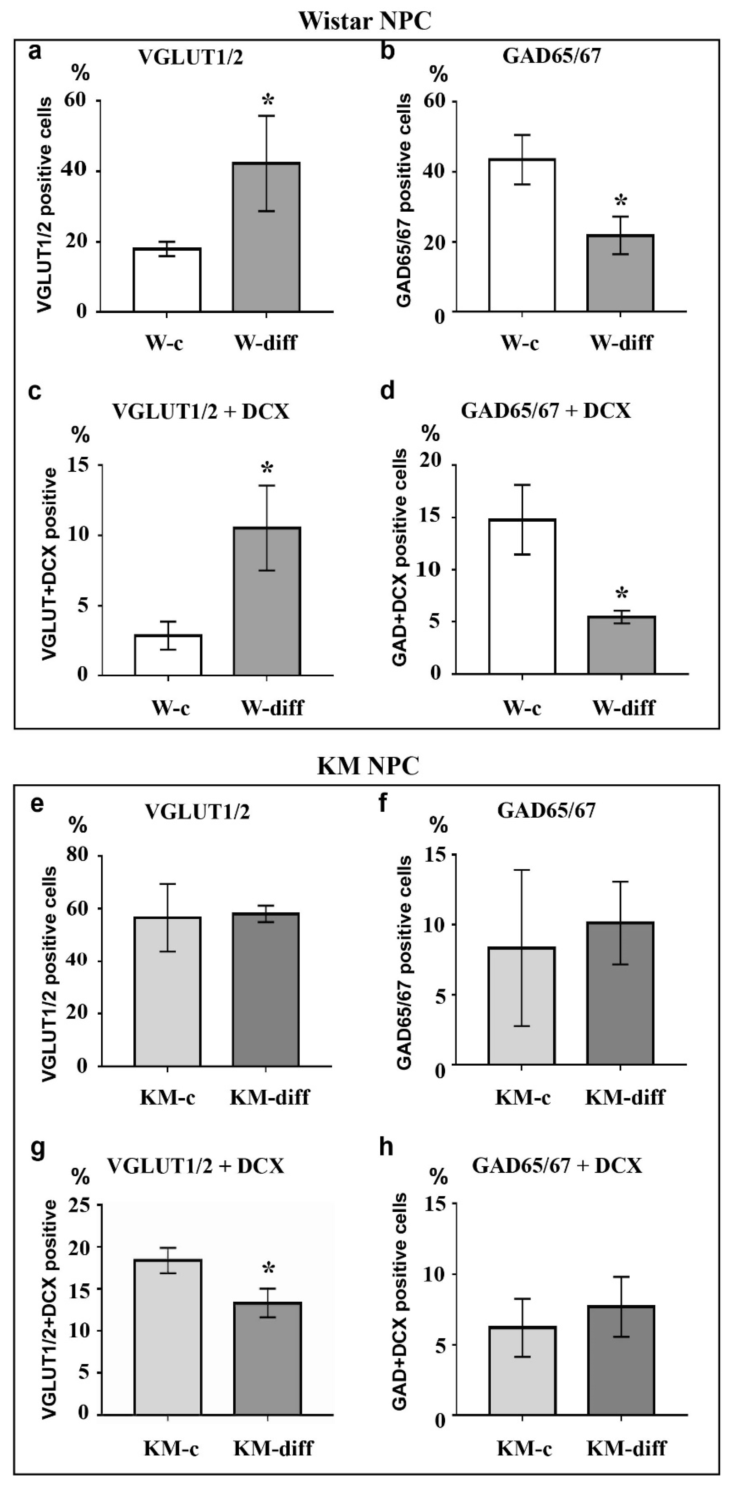 Brainsci 10 00311 g004 Brainsci 10 00311 g004