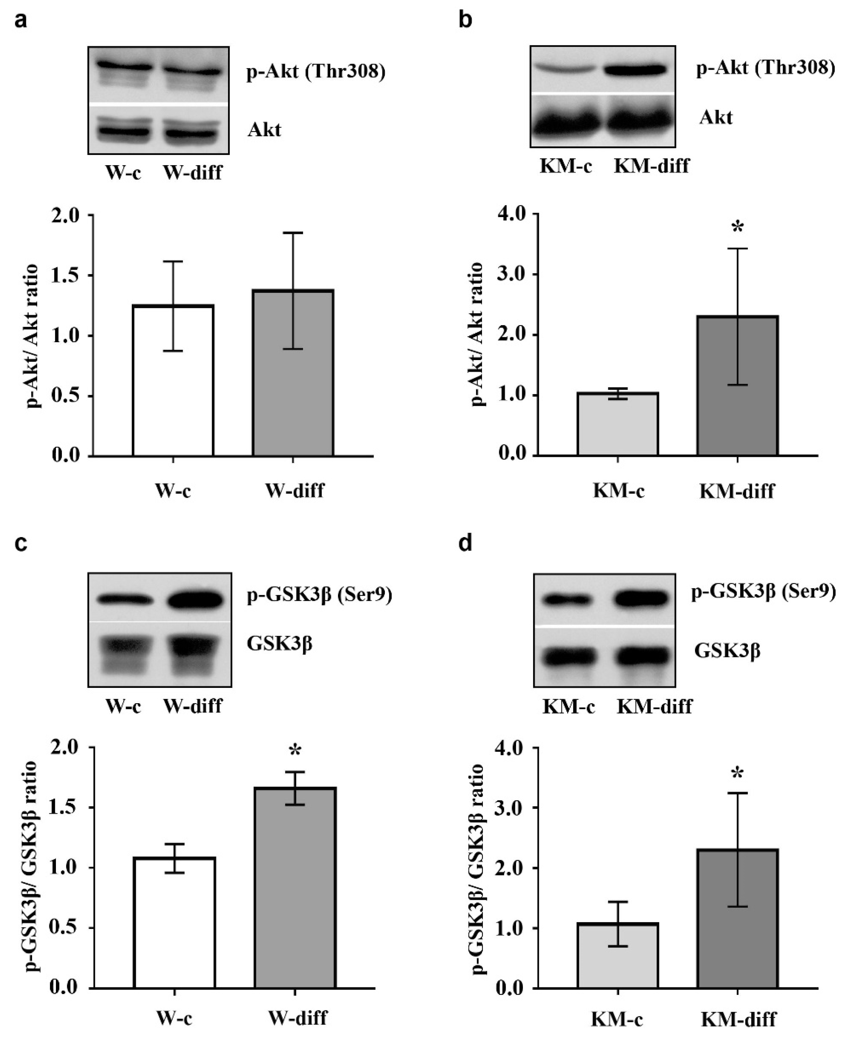 Brainsci 10 00311 g006 Brainsci 10 00311 g006