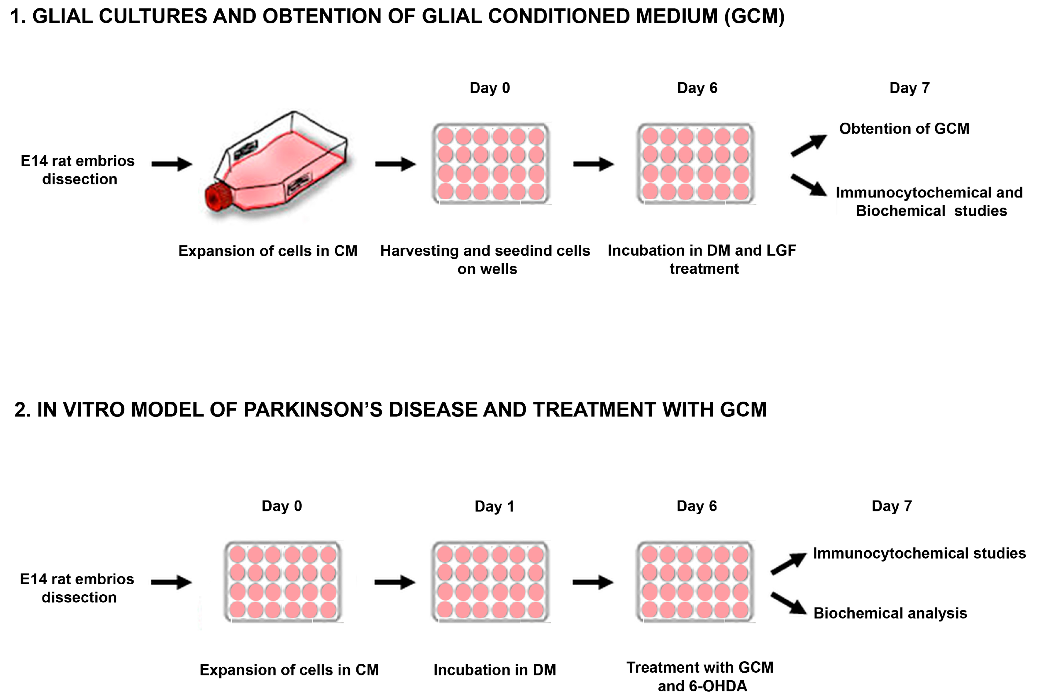 Brainsci 10 00315 g001