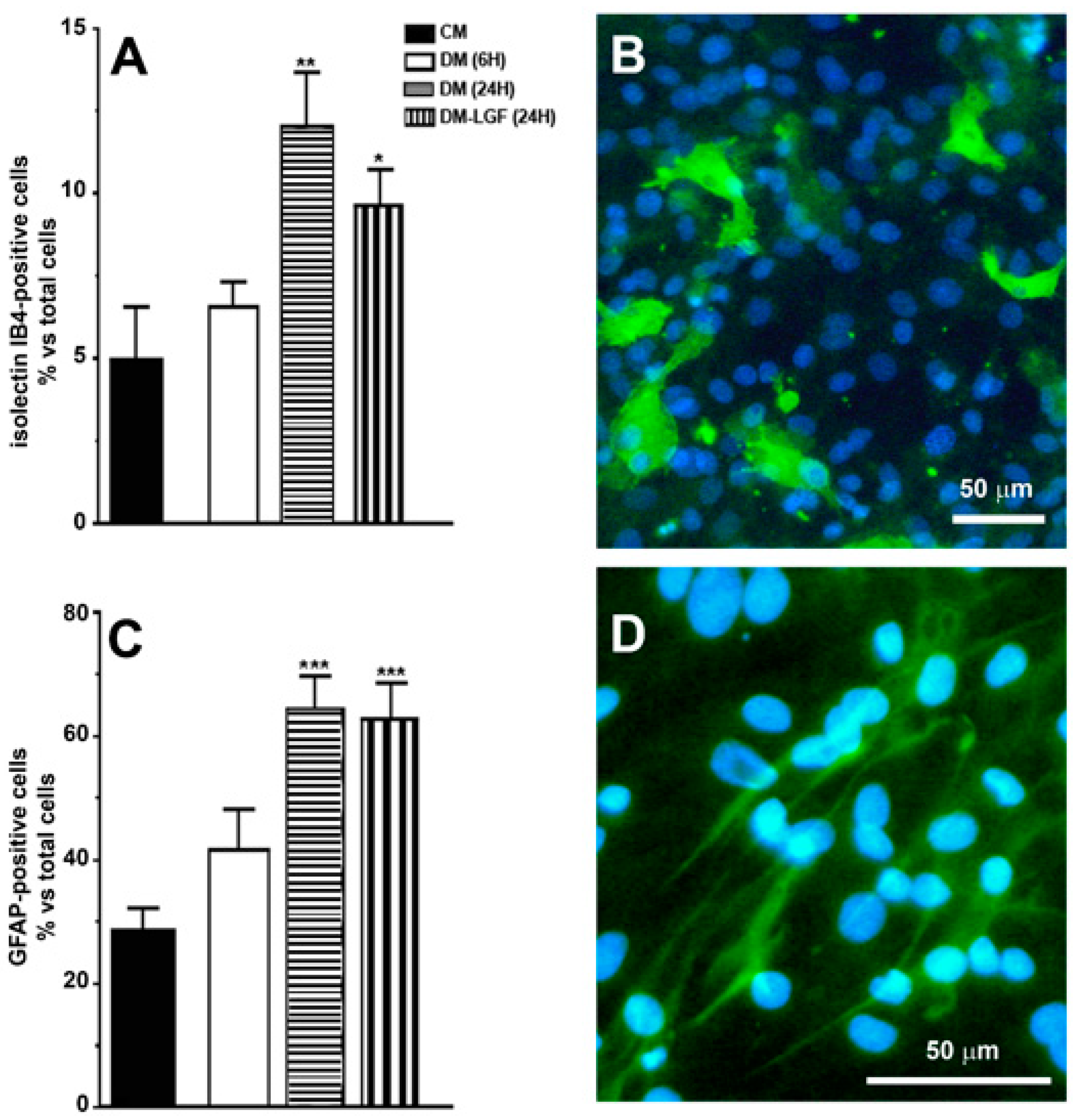 Brainsci 10 00315 g002