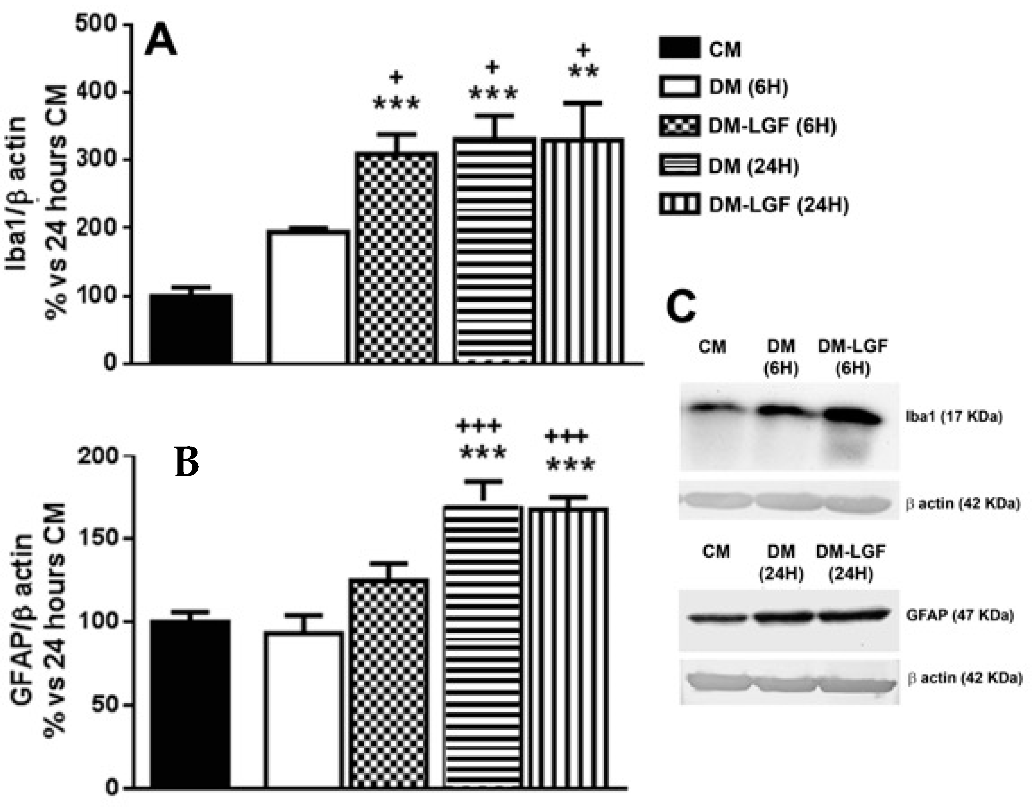 Brainsci 10 00315 g003