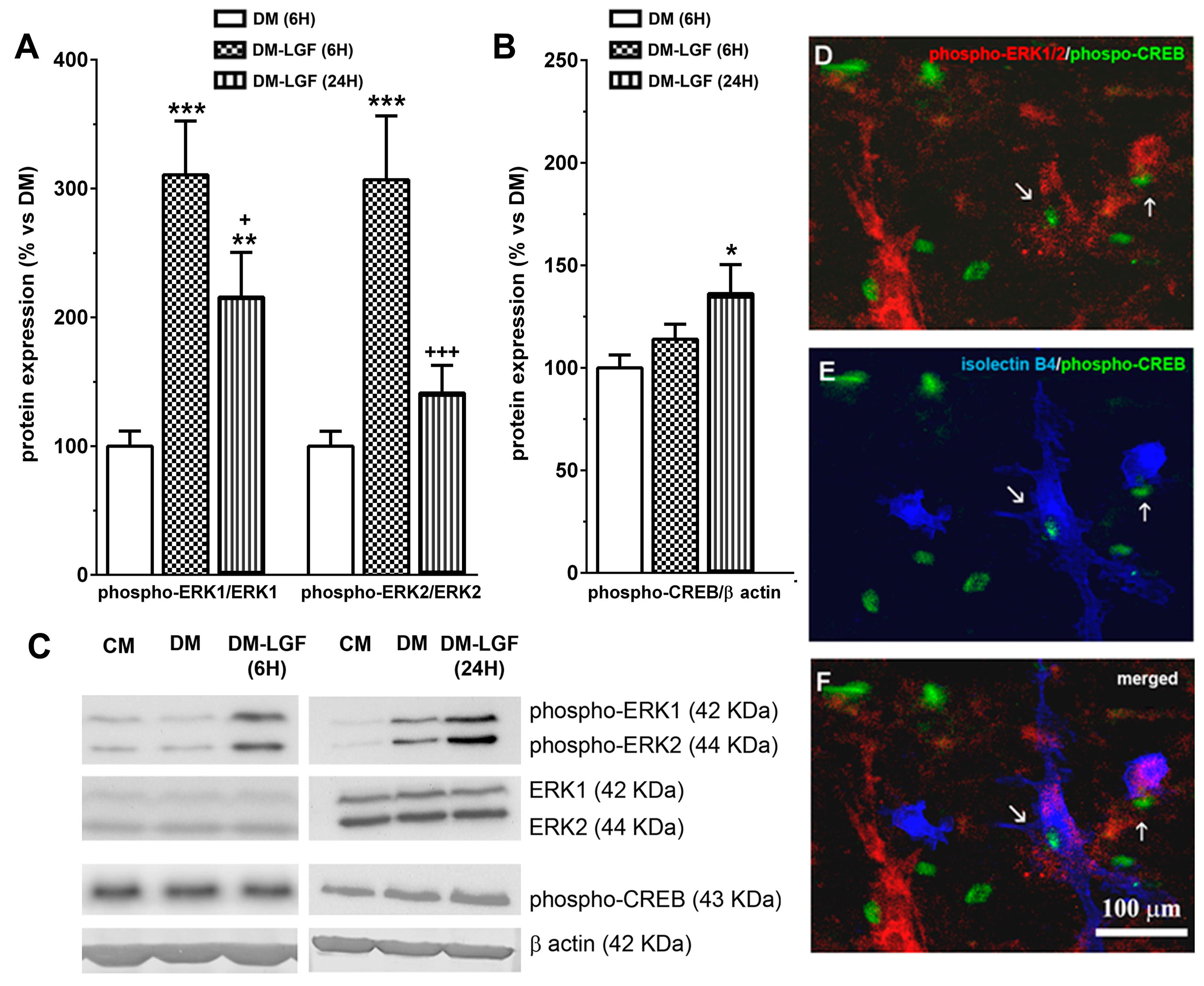 Brainsci 10 00315 g004
