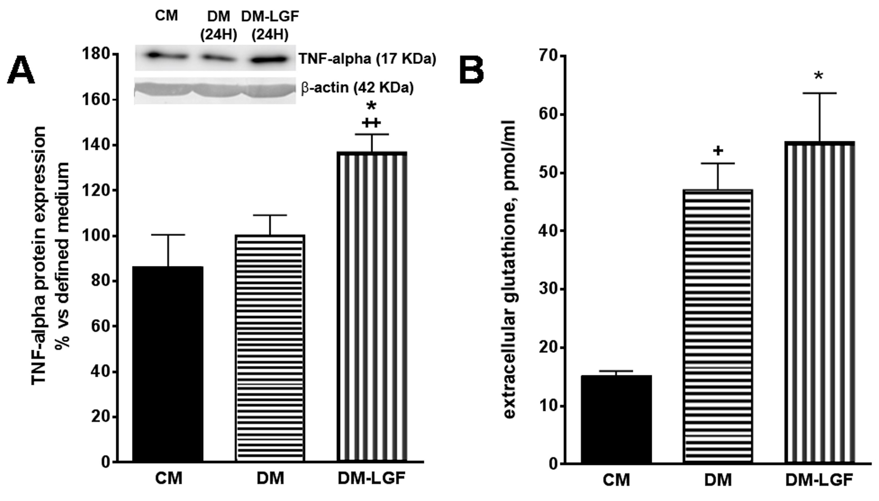 Brainsci 10 00315 g005