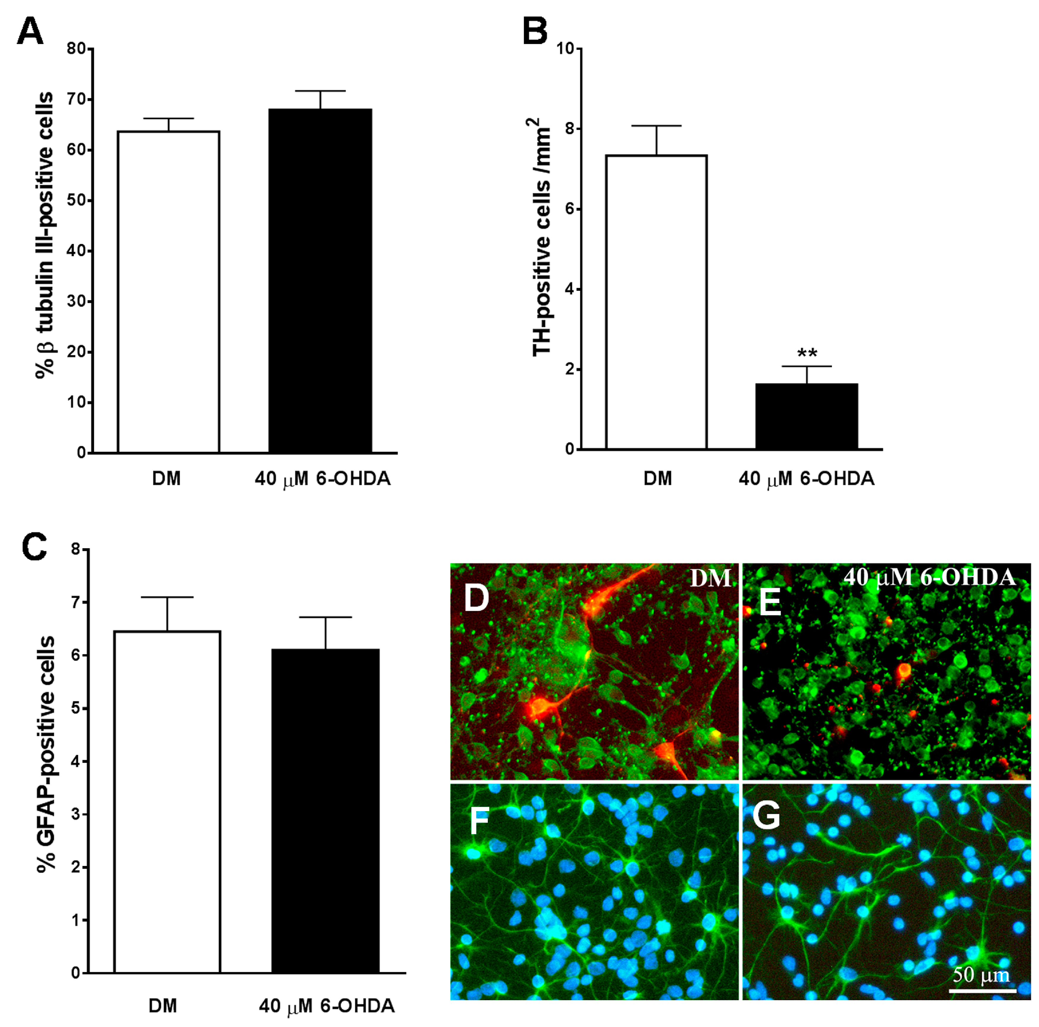 Brainsci 10 00315 g006