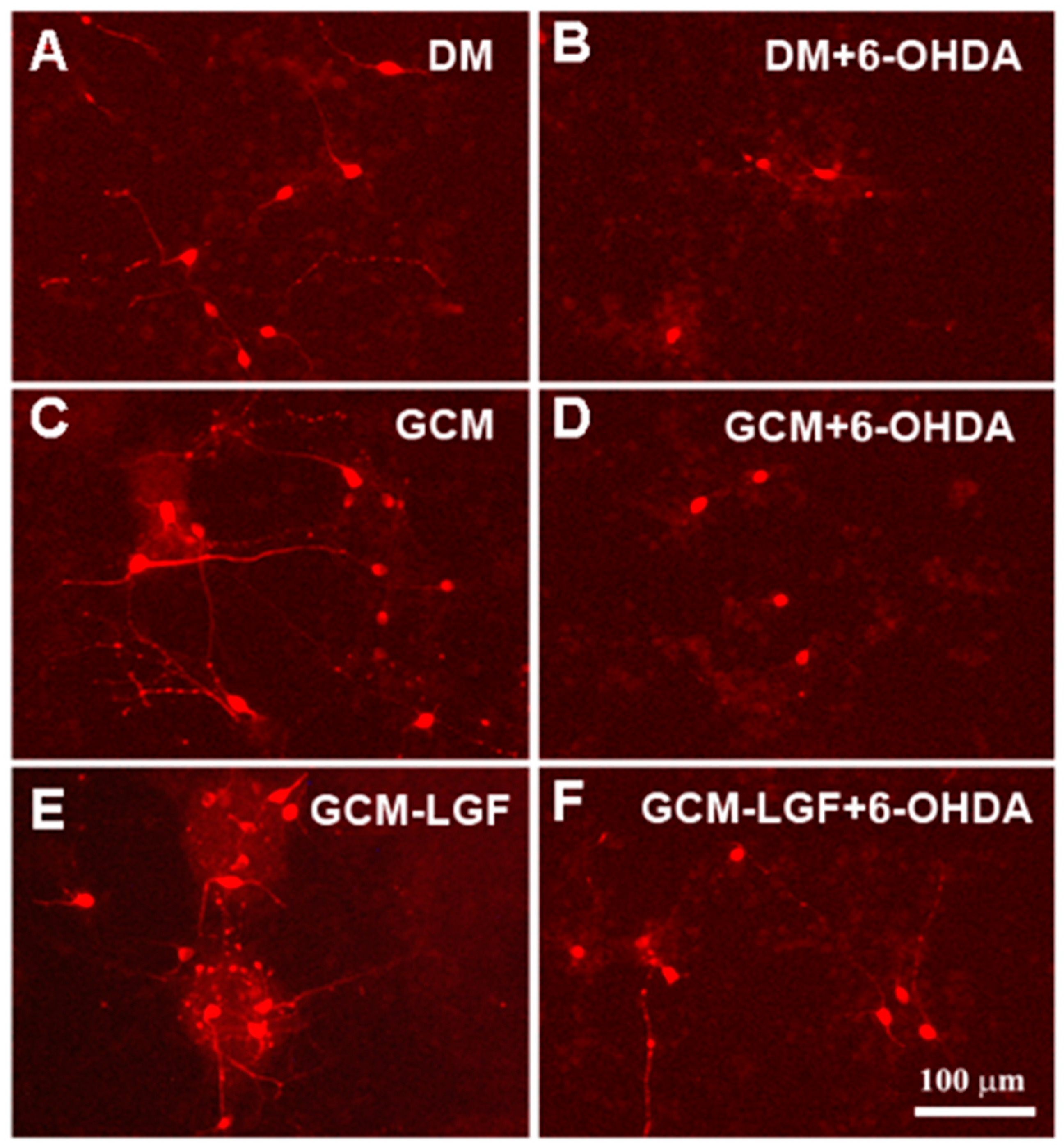 Brainsci 10 00315 g009