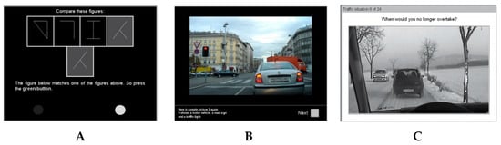 Brainsci 10 00327 g001