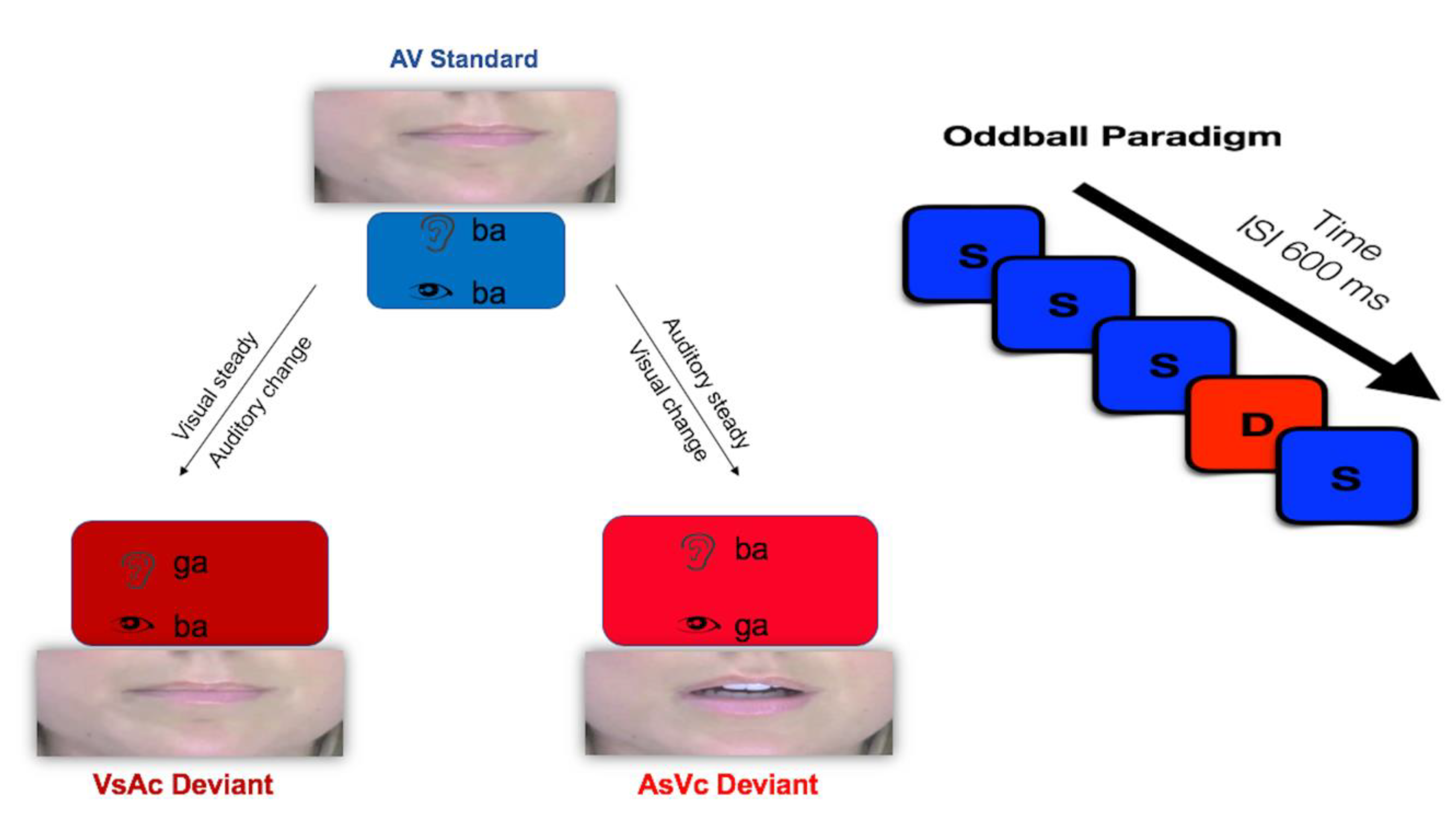 Brainsci 10 00328 g001 Brainsci 10 00328 g001
