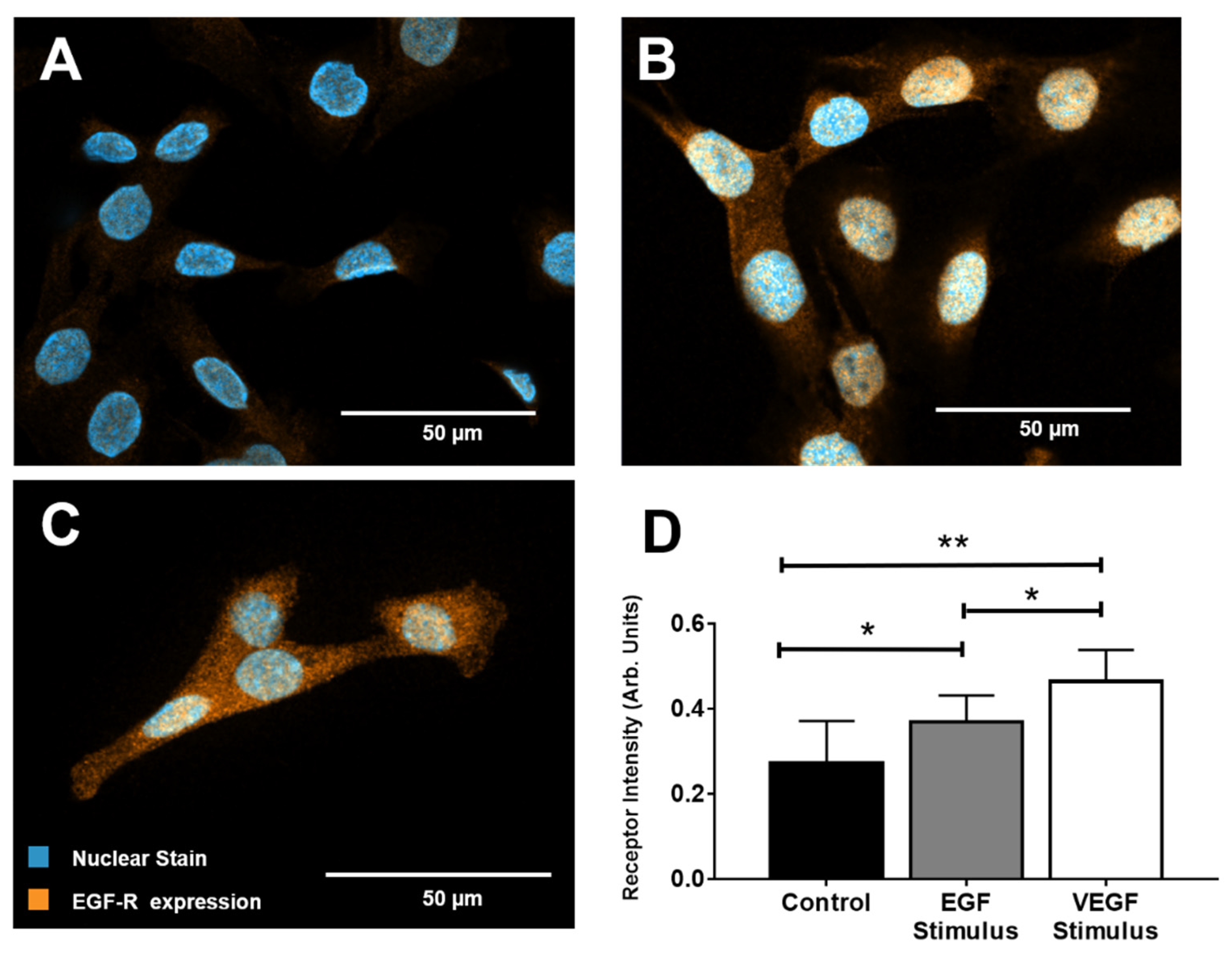 Brainsci 10 00330 g003 Brainsci 10 00330 g003