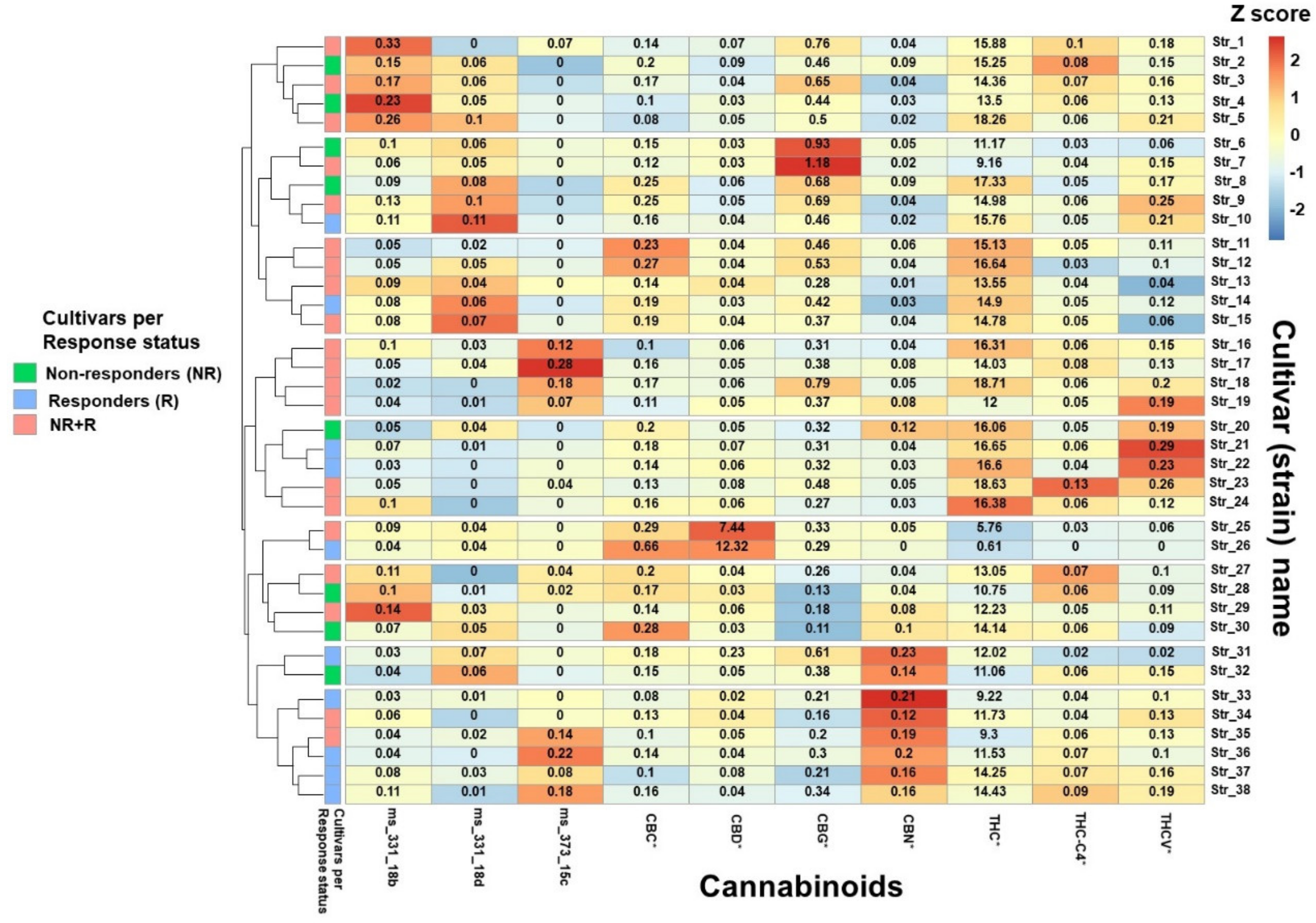 Brainsci 10 00360 g002