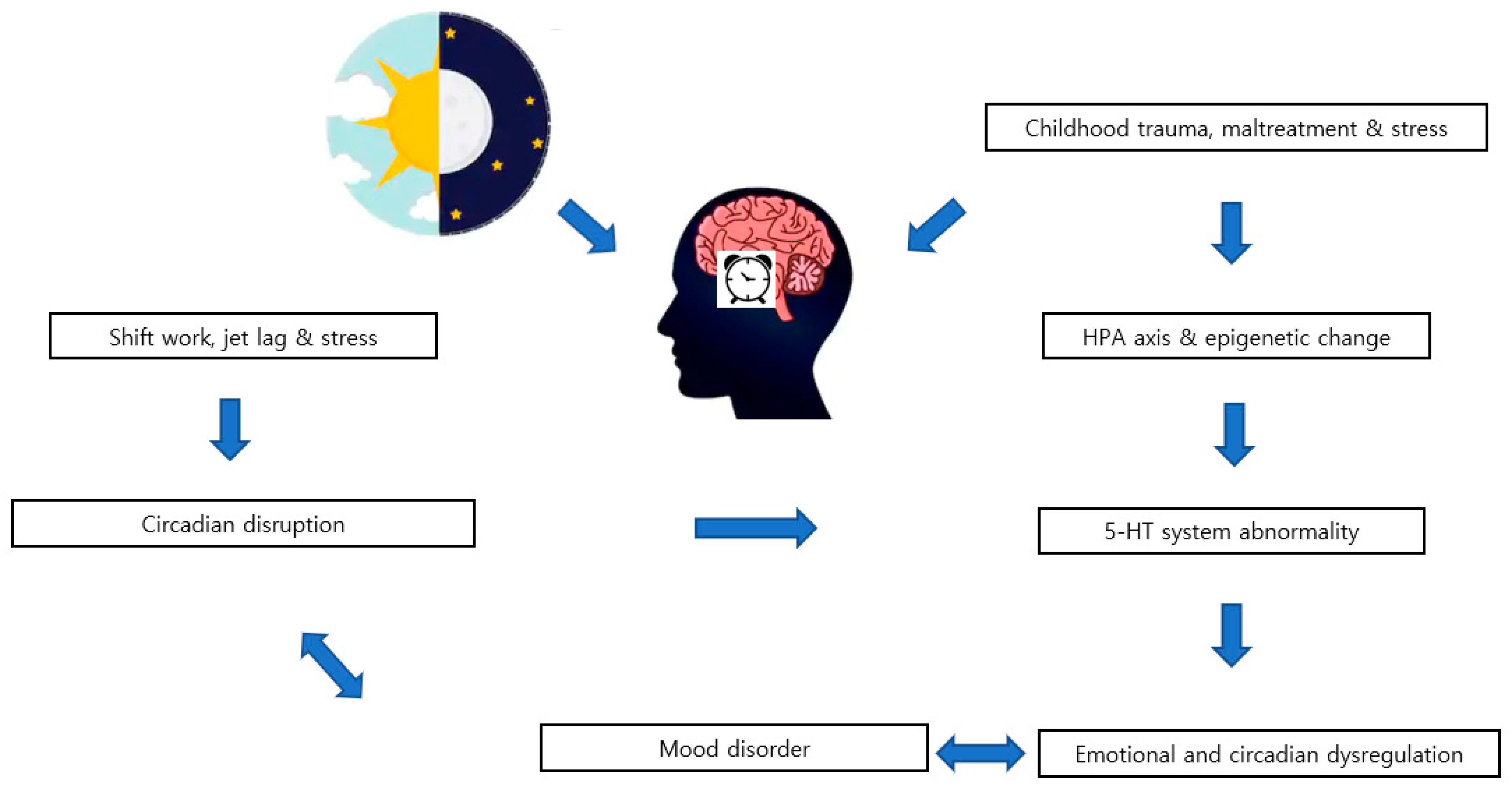 Brainsci 10 00370 g002 Brainsci 10 00370 g002