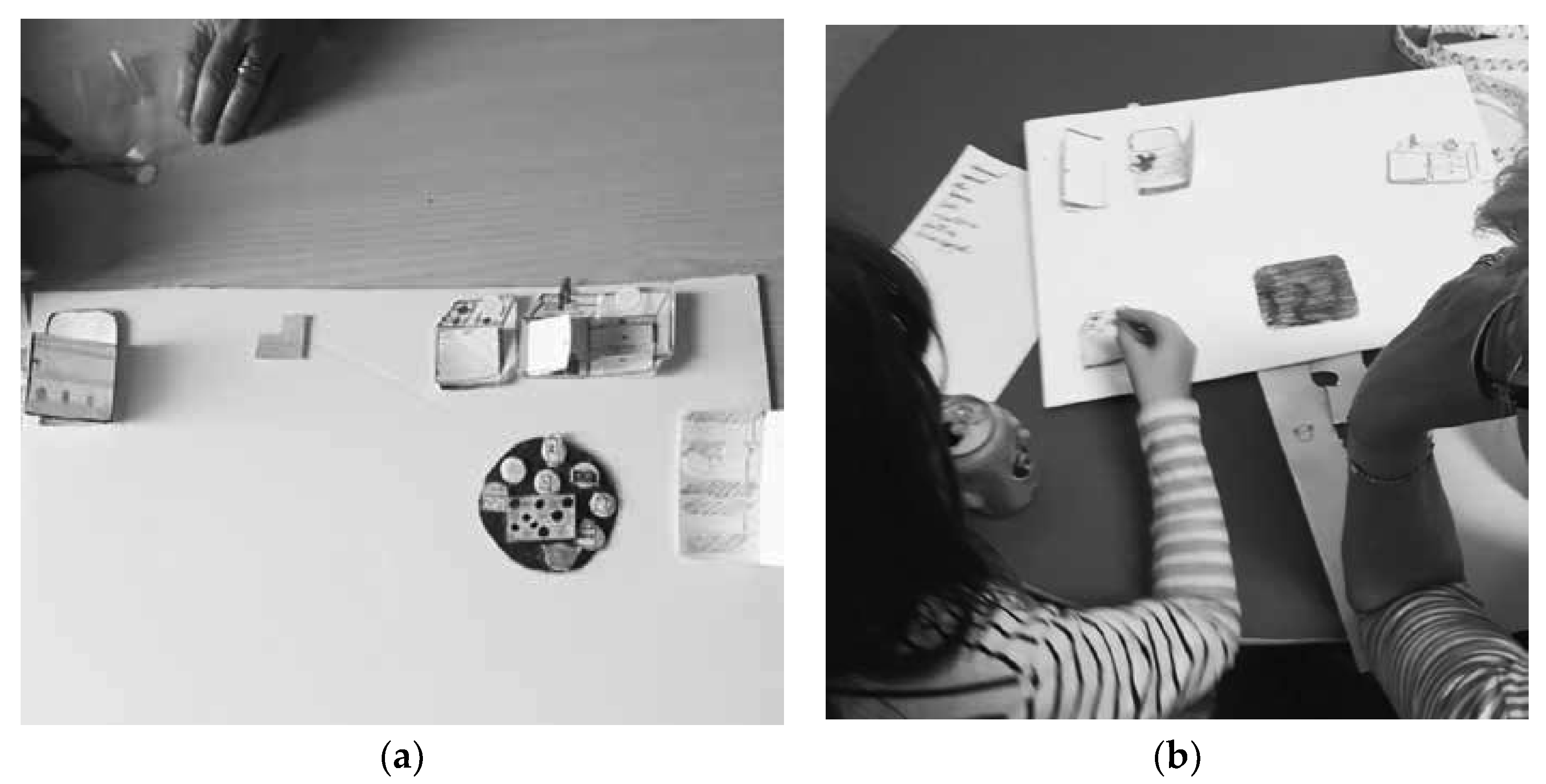 Brainsci 10 00382 g002