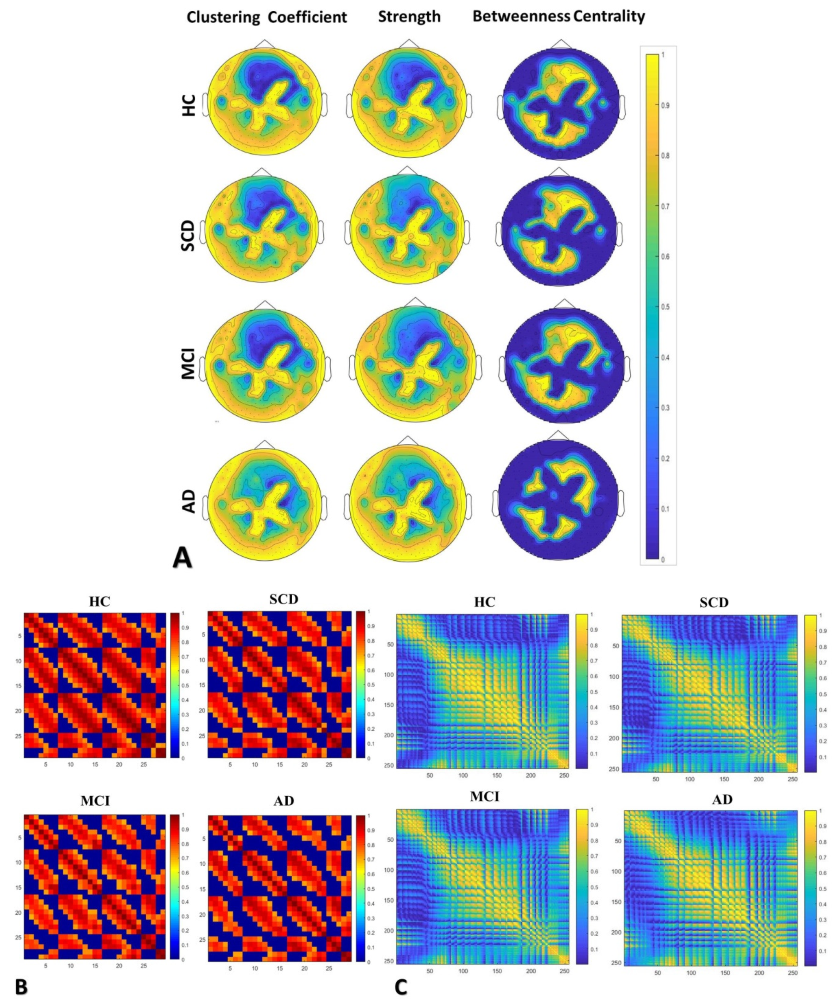 Brainsci 10 00392 g002