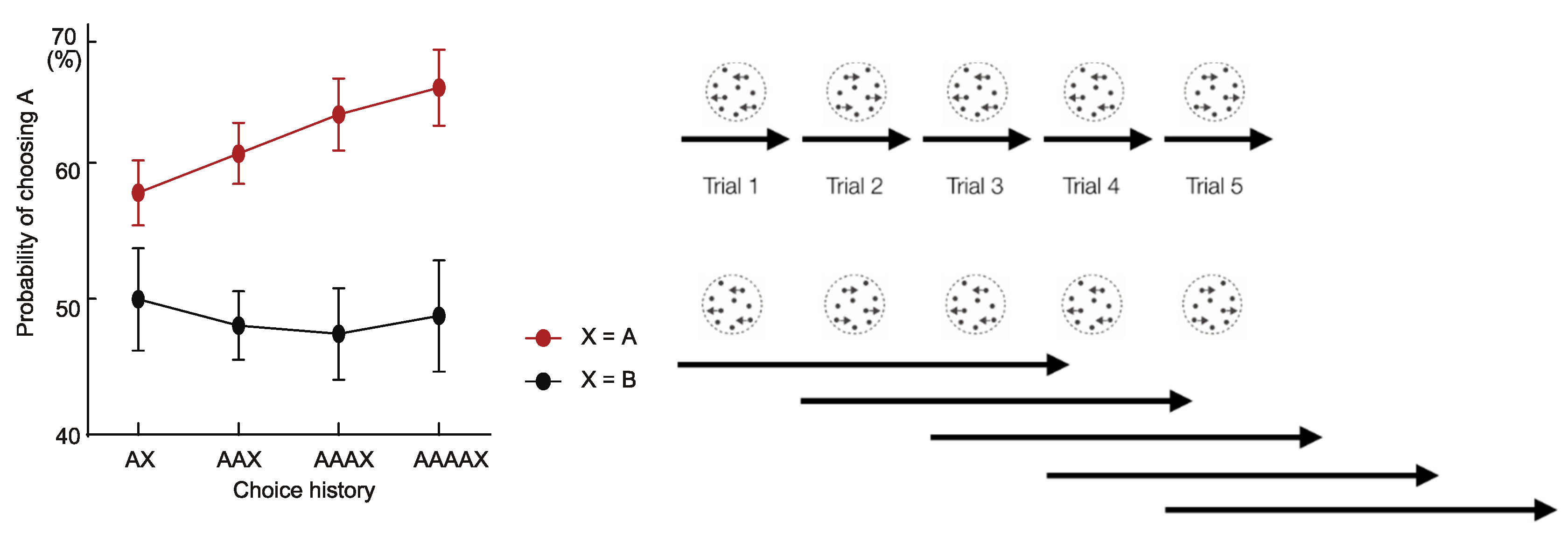Brainsci 10 00396 g002