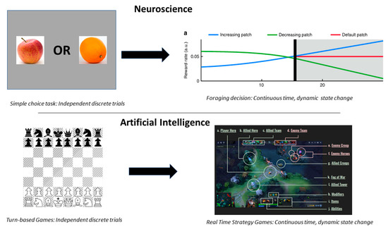 Brainsci 10 00396 g007